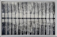 Foresta
