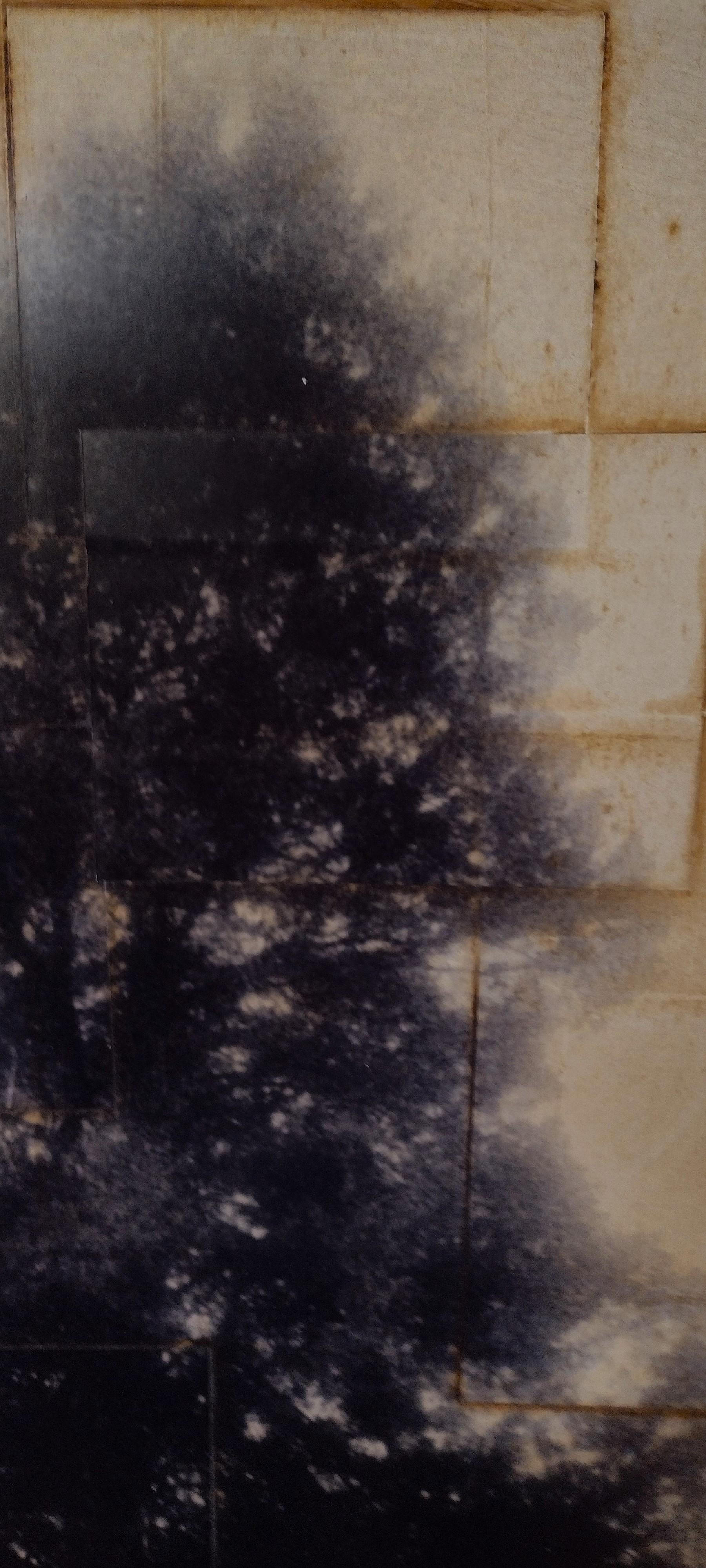 Fog Tree - Original Photography Collage on Paper - Black Landscape Photograph by Pezhman 