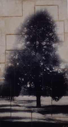 Fog Tree – Originalfotografie-Collage auf Papier