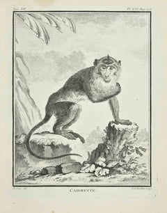 L'Aigrette - Gravure par P.F. Tardieu - 1771