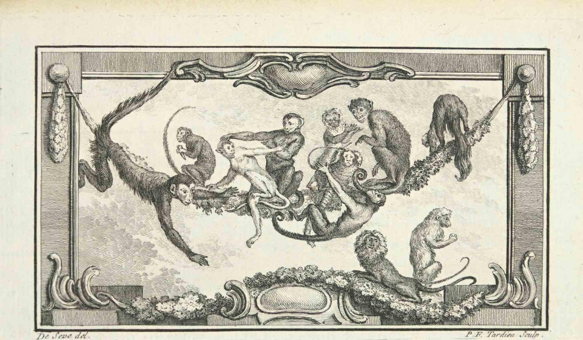 Monkies is an etching realized by P.F. Tardieu in 1771.

It belongs to the suite "Histoire naturelle, générale et particulière avec la description du Cabinet du Roi".

Artist's signature engraved lower right.

Good conditions with slight foxing.