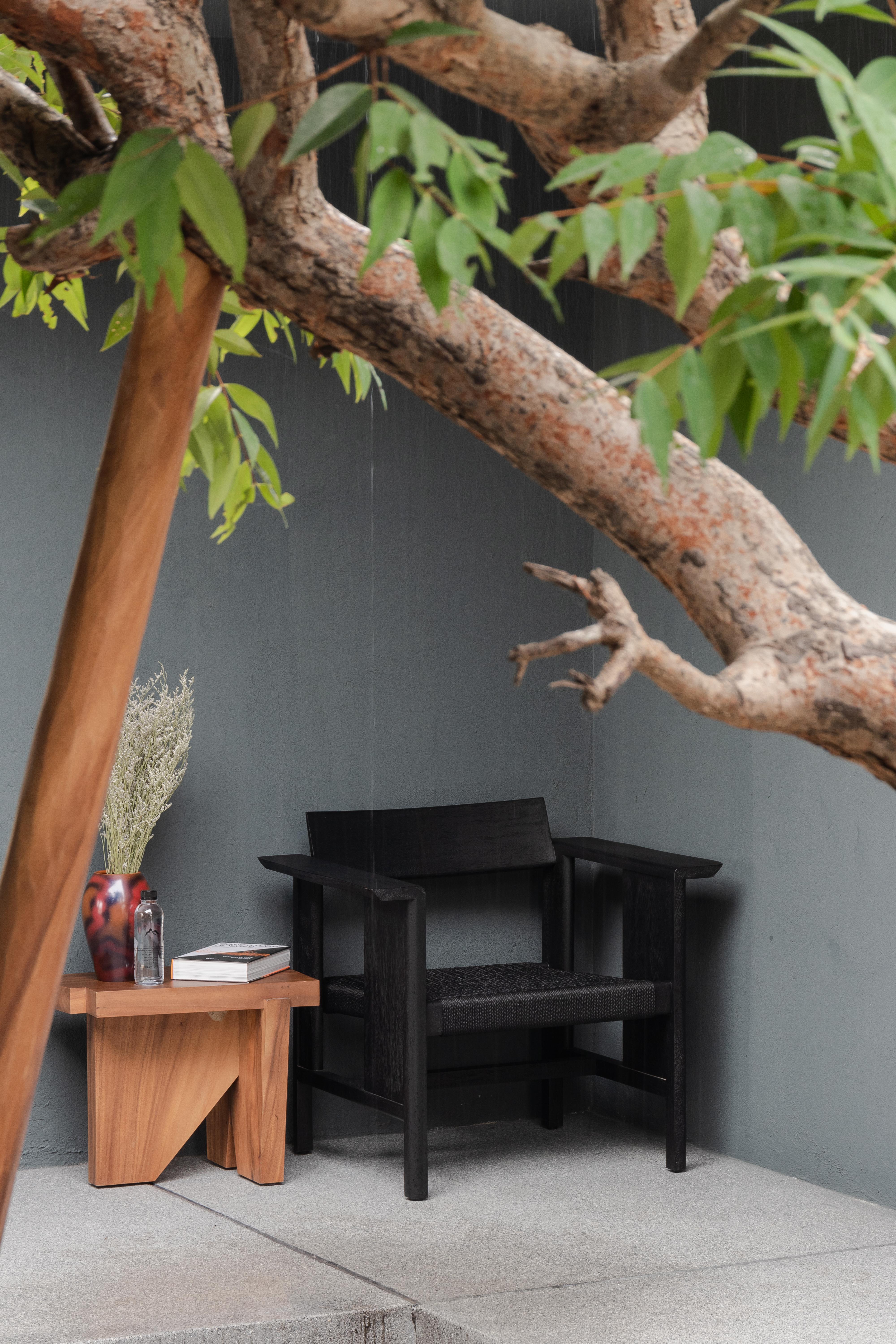 Phaka Lounge, Rohschwarzer Affengefäßholz und schwarze Kordeln aus Holz (21. Jahrhundert und zeitgenössisch) im Angebot