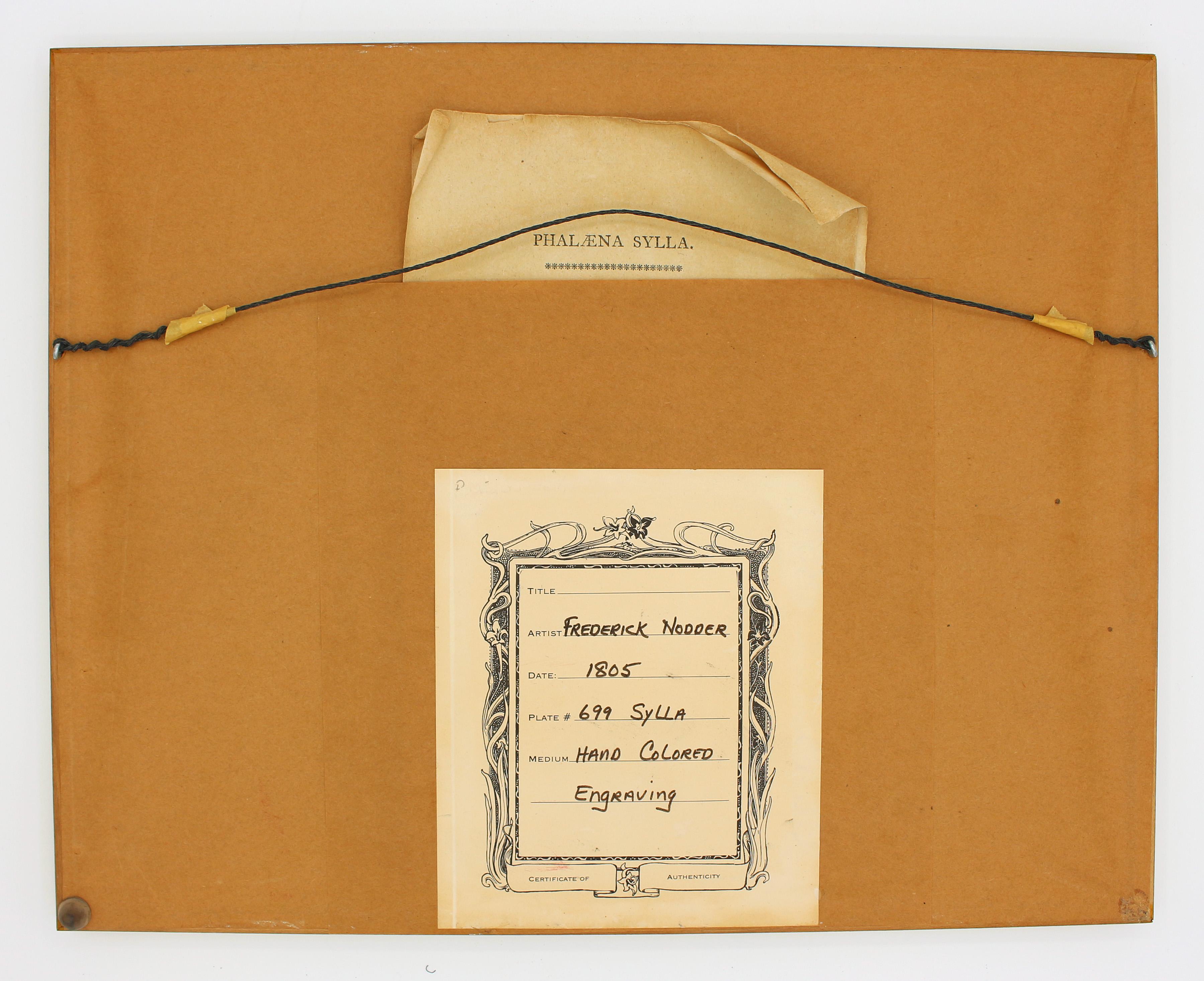 Handkolorierter Kupferstich von 1805 von Frederick Polydore Nodder, die 