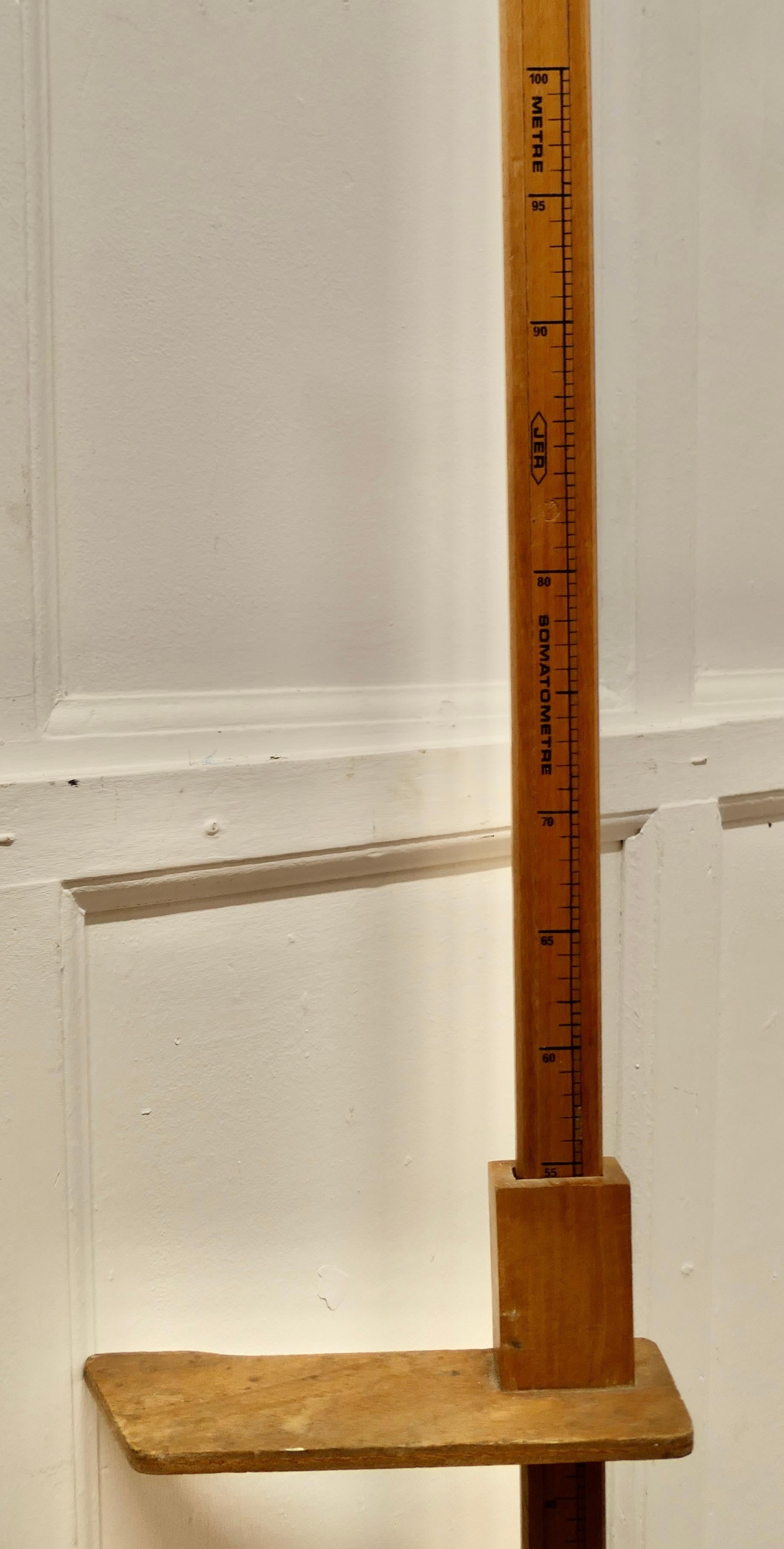 Pharmacy Child Measure Stand, Pitch Pine Measuring Stick or Somastometre    In Good Condition For Sale In Chillerton, Isle of Wight