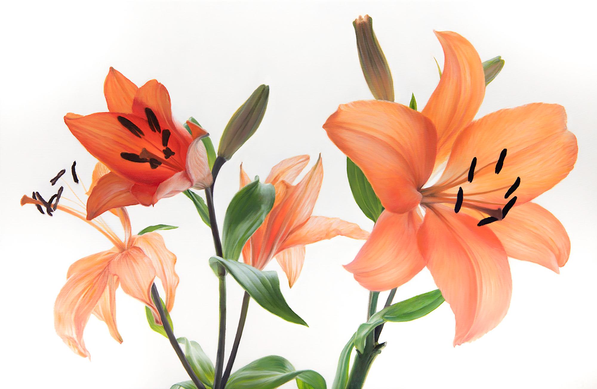 A Study in Coral and Green Large Modern Floral Botanical Oil by Phil Courtney