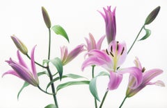 Lillies Unfurled Large Modern Floral Botanical Oil on Canvas by Phil Courtney