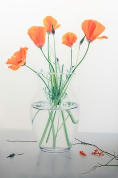 Quiet Suspension Large Oil on Canvas Modern Still Life Painting by Phil Courtney