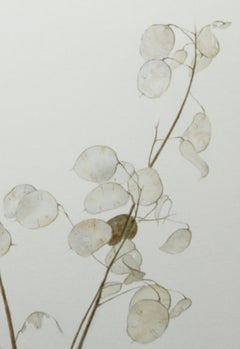 Study in Stillness Watercolor Minimalist Organic Still Life by Phil Courtney
