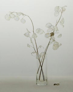 Study in Stillness Watercolor Minimalist Organic Still Life by Phil Courtney