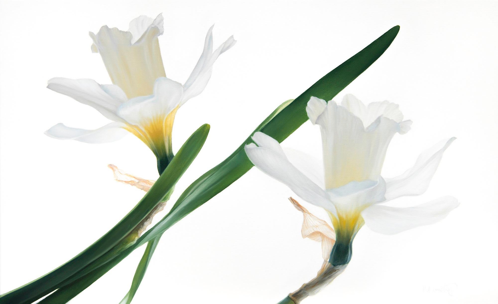 Where Light Rests Large Modern Oil on Canvas Floral Contemporary Still Life