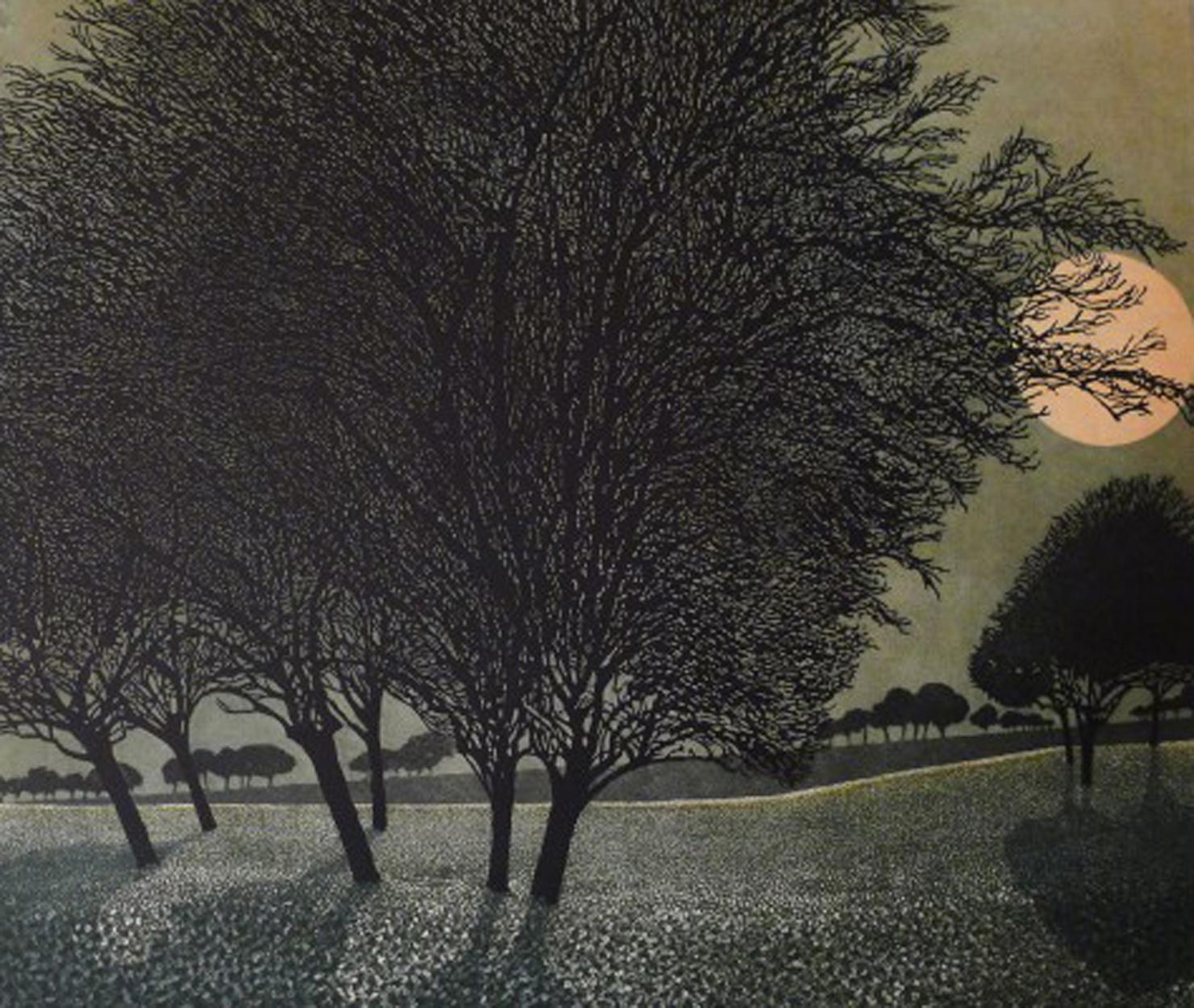 British Limited Edition Etching and Aquatint, Phil Greenwood 'English', Autumn Heath For Sale