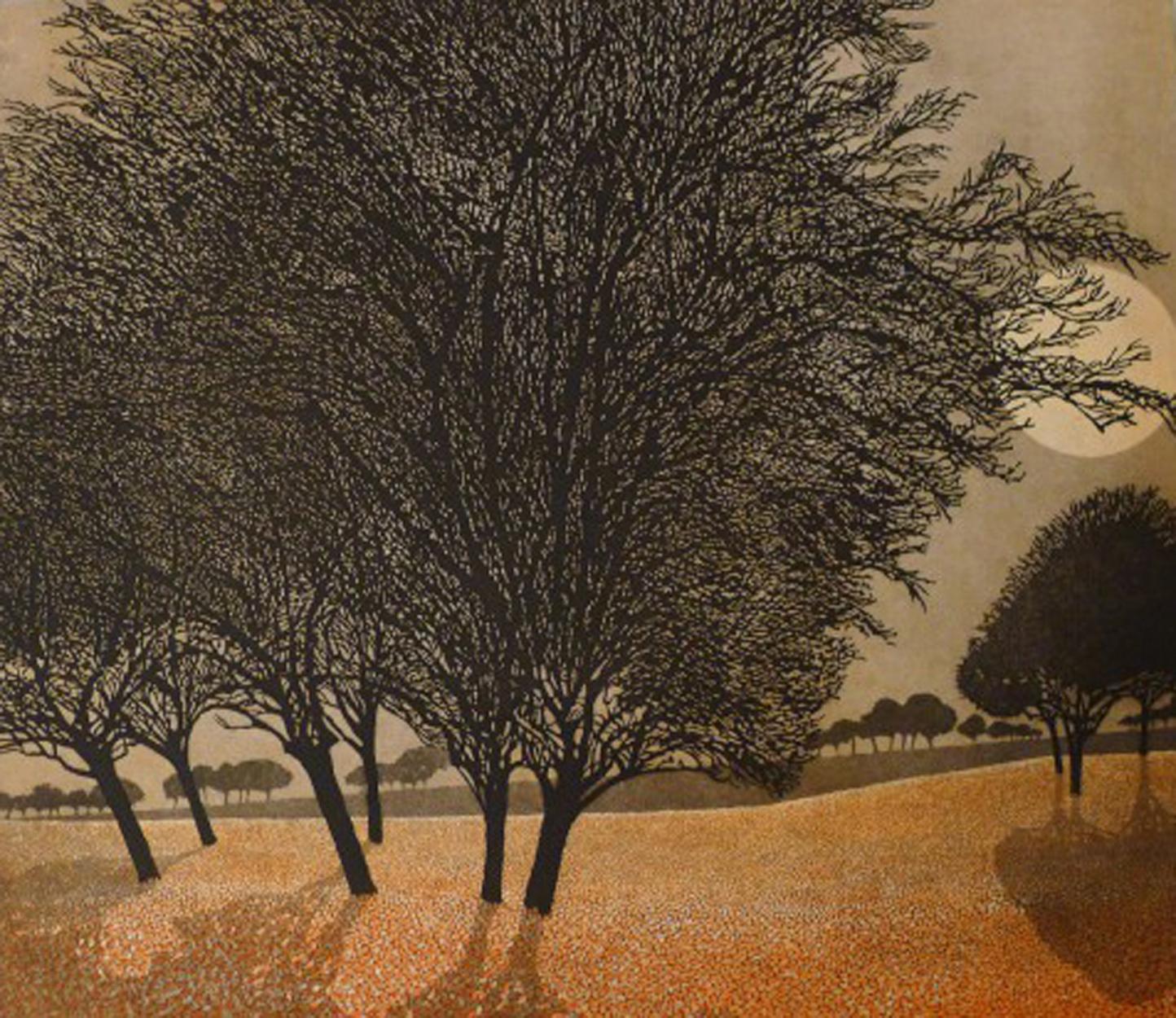 Etched Limited Edition Etching and Aquatint, Phil Greenwood 'English', Autumn Heath For Sale