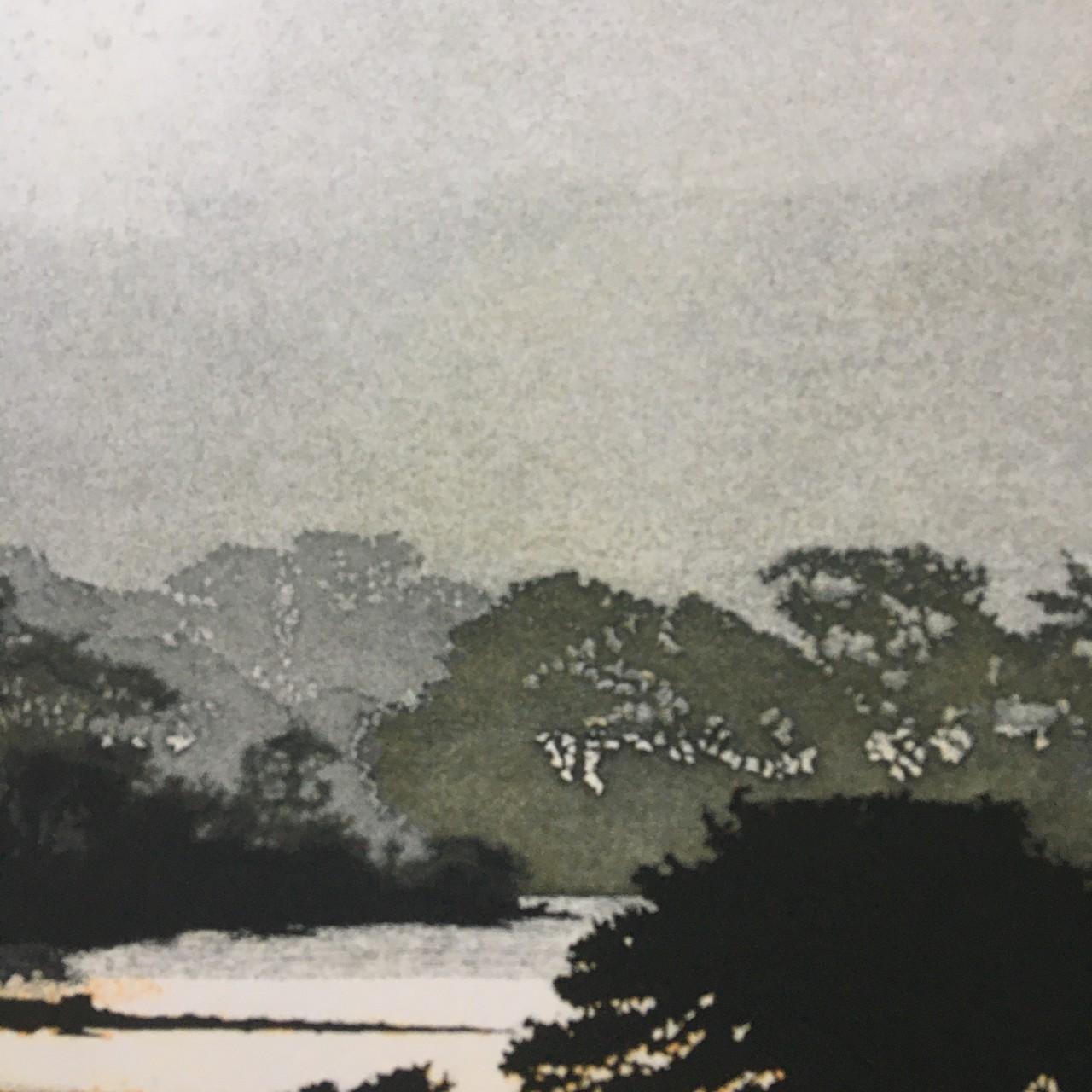 After the Storm, Limited Edition Print, Landscape Etching Print in Greens For Sale 3