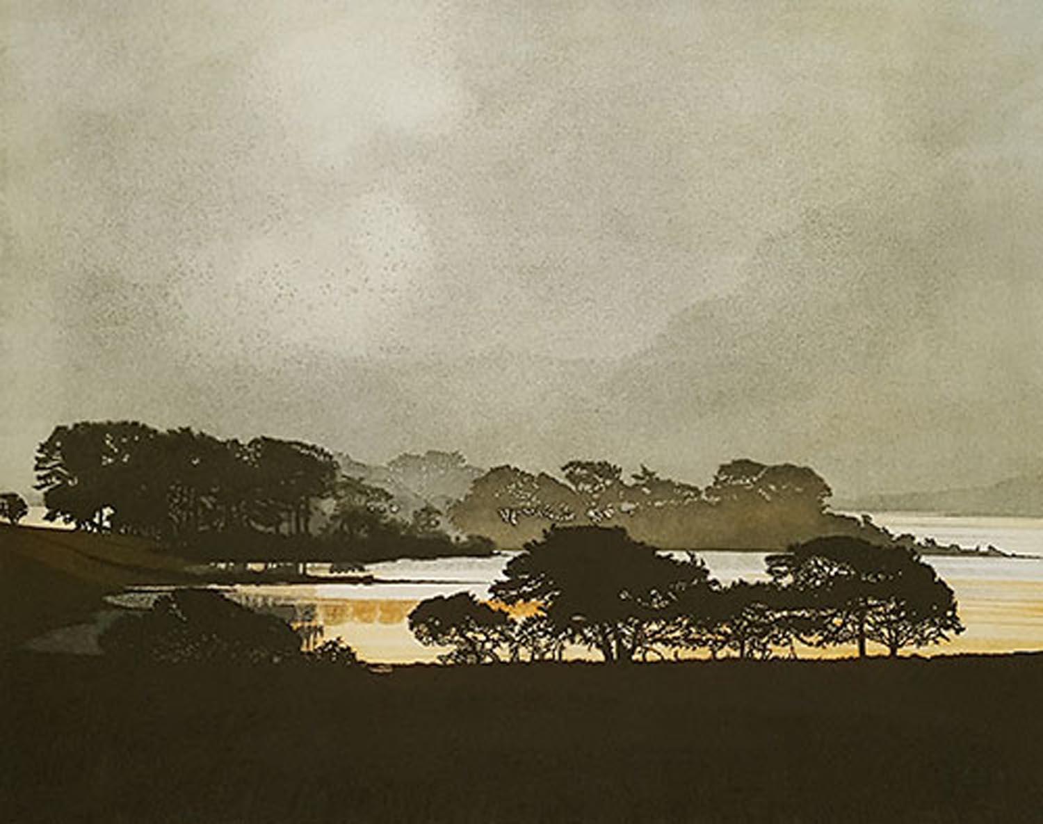 Phil Greenwood Landscape Print - After the Storm, Limited Edition Print, Landscape Etching Print in Greens