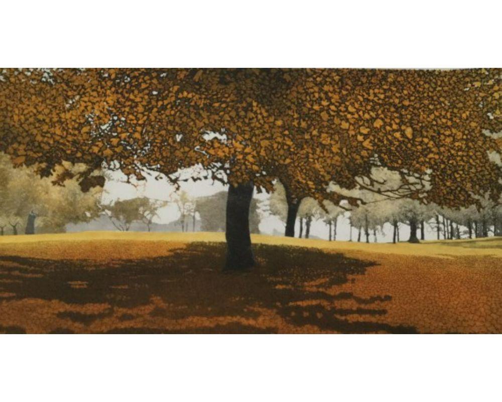 Autumn Heath is a contemporary landscape print by Phil Greenwood. The vibrant, warm leaves of the trees are broken up by the bold tree trunk and the background.

Additional Information:
Phil Greenwood
Aurumn Heath
Limited Edition Etching with