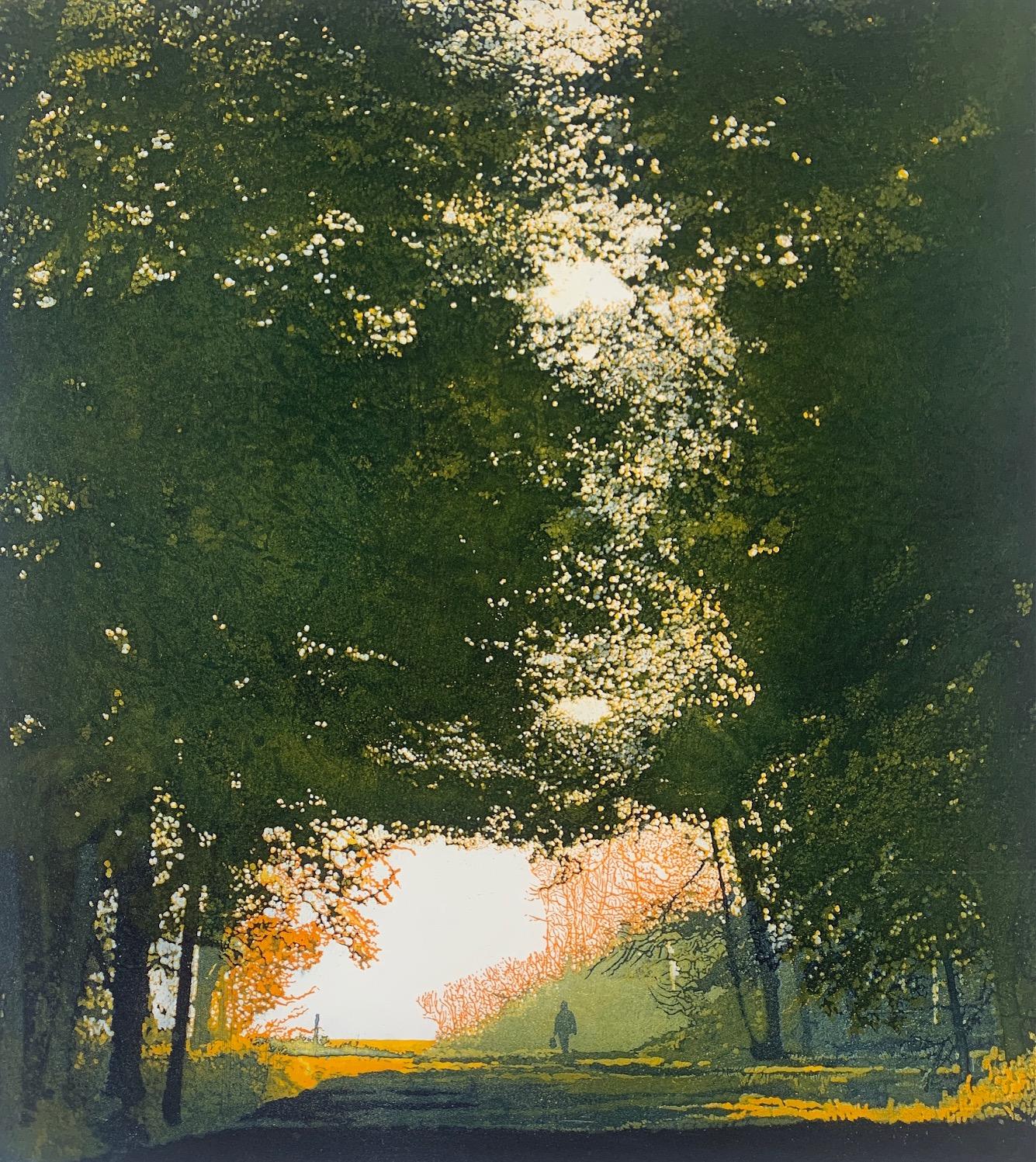 Going Home By Phil Greenwood [2021]

Going Home by artist Phil Greenwood is a limited edition print made using aquatint and etching. A figure is depicted walking through dense woodlands advancing into the light. The composition is mainly dark in the