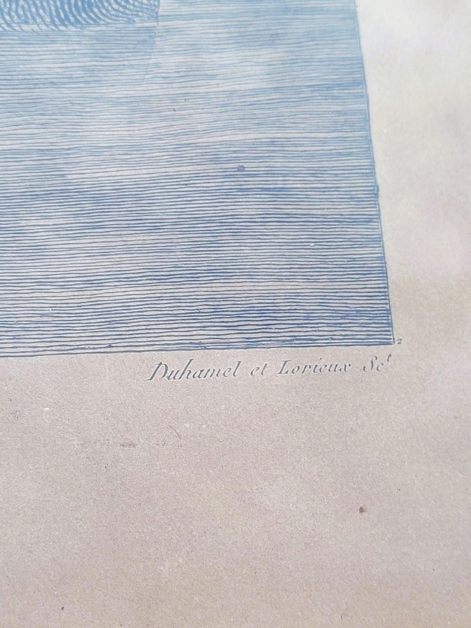 Philae Island, gerahmte Gravur, XIX. Jahrhundert im Angebot 1
