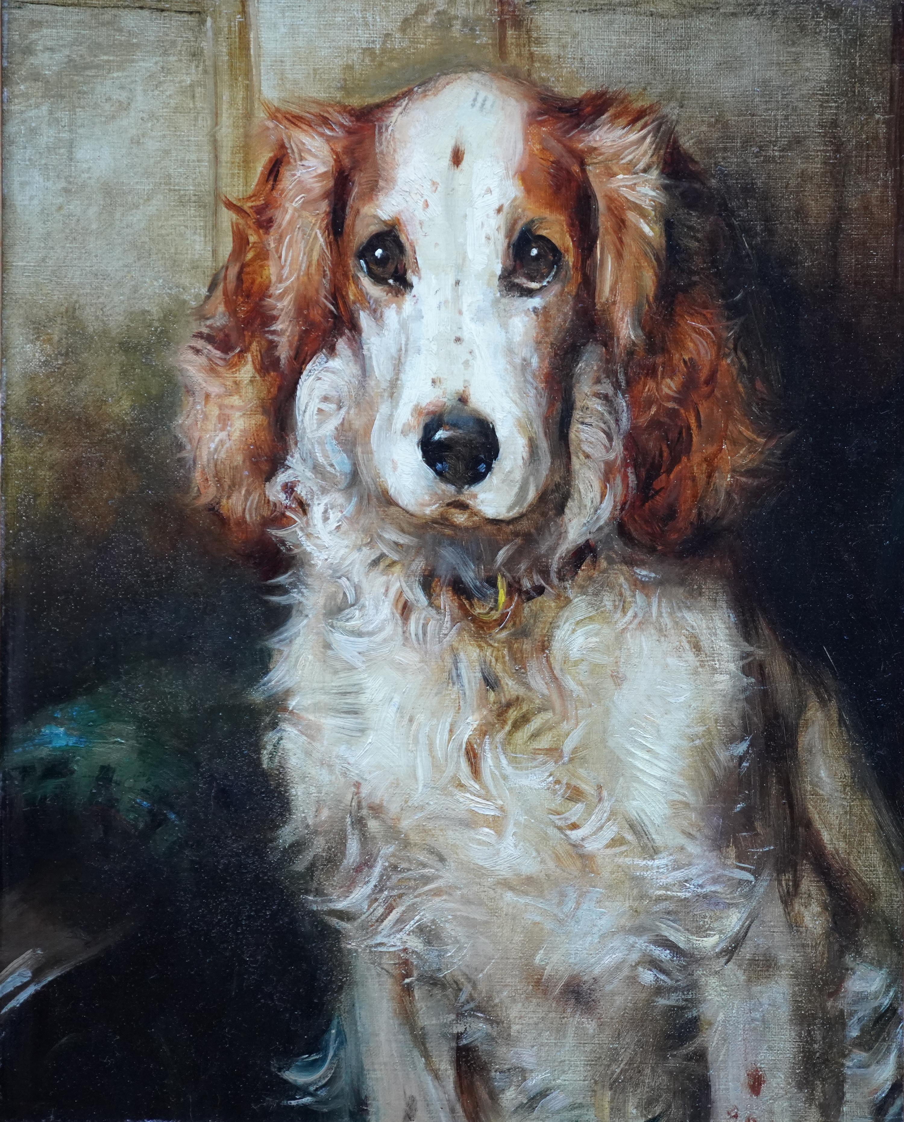 Portrait of a Spaniel Dog - British 1900 animal art oil painting Cocker Spaniel – Painting von Philip Eustace Stretton