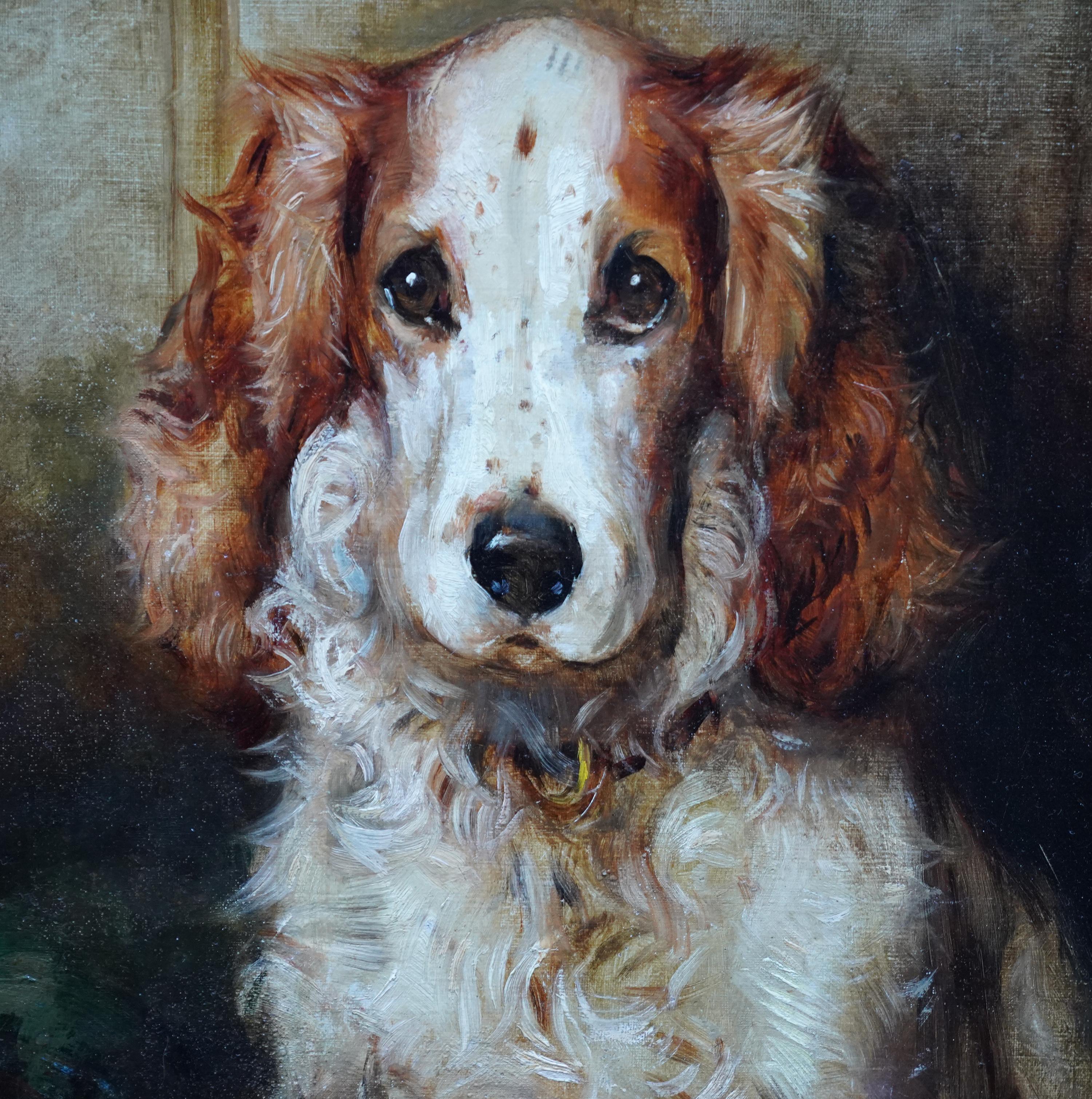 Portrait of a Spaniel Dog - British 1900 animal art oil painting Cocker Spaniel (Viktorianisch), Painting, von Philip Eustace Stretton