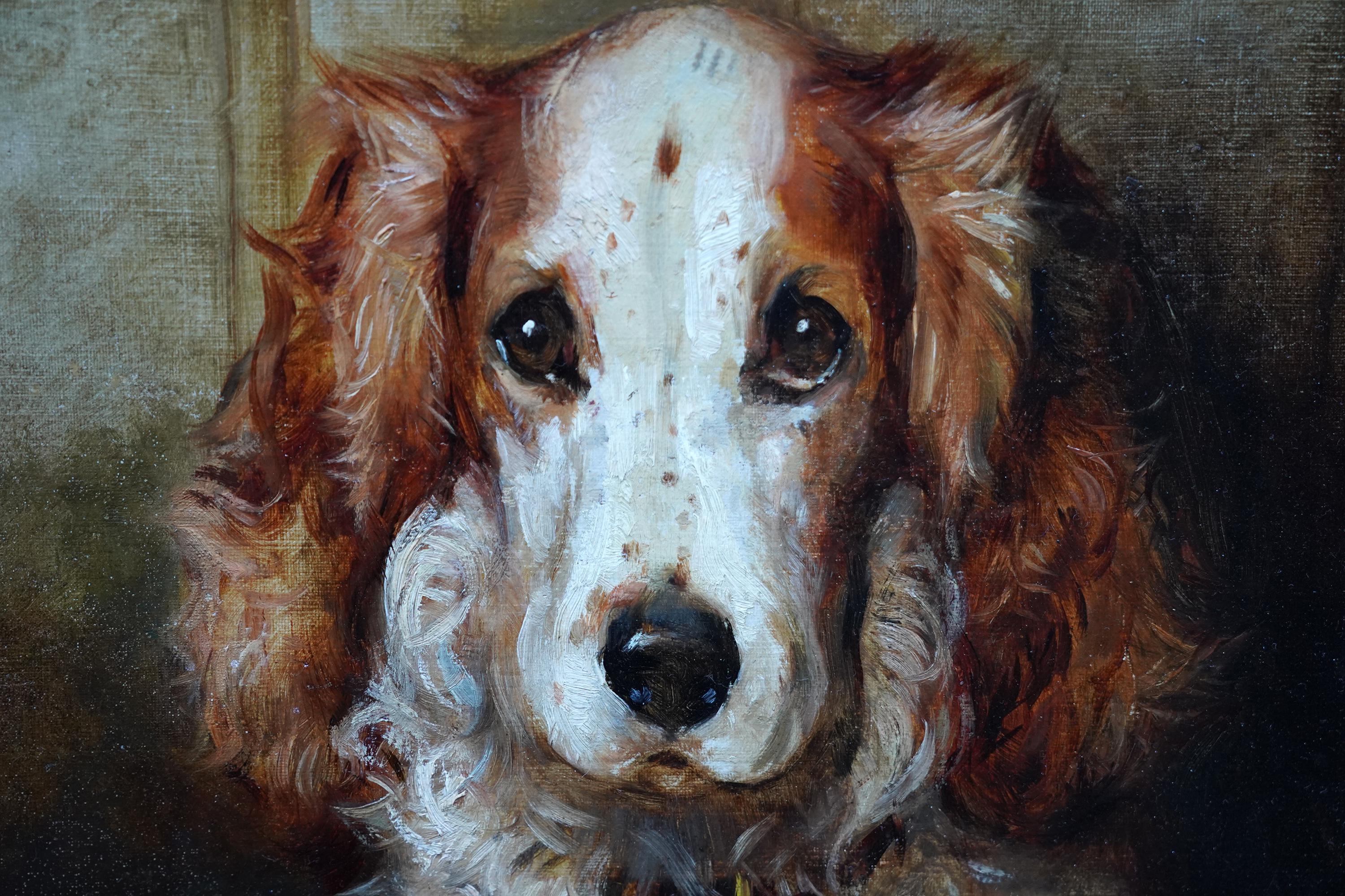 Portrait of a Spaniel Dog - British 1900 animal art oil painting Cocker Spaniel (Grau), Portrait Painting, von Philip Eustace Stretton