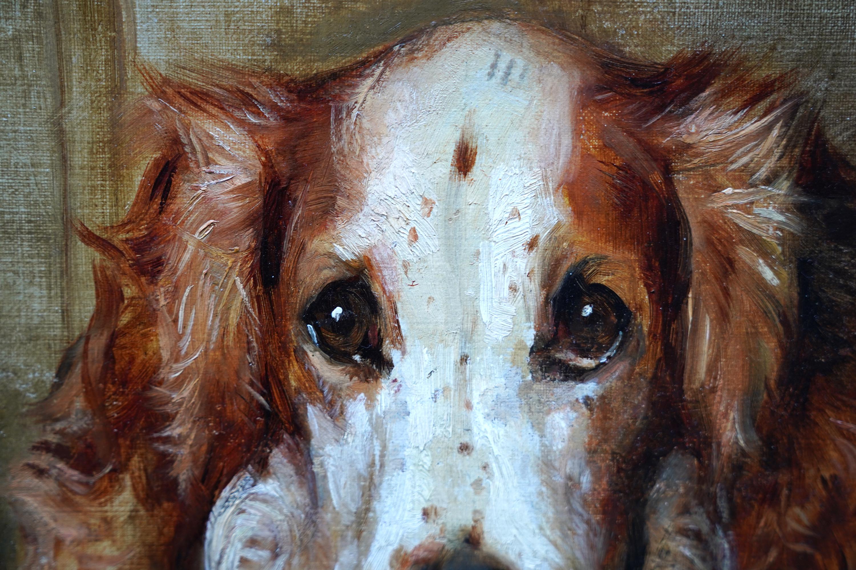 Dieses charmante britisch-viktorianische Hundeporträt stammt von dem bekannten Tierkünstler Philip Eustace Stretton. Es wurde um 1900 gemalt und zeigt das Porträt eines Spaniels, der aufrecht auf einem grünen Ledersessel mit Holzverkleidung hinter