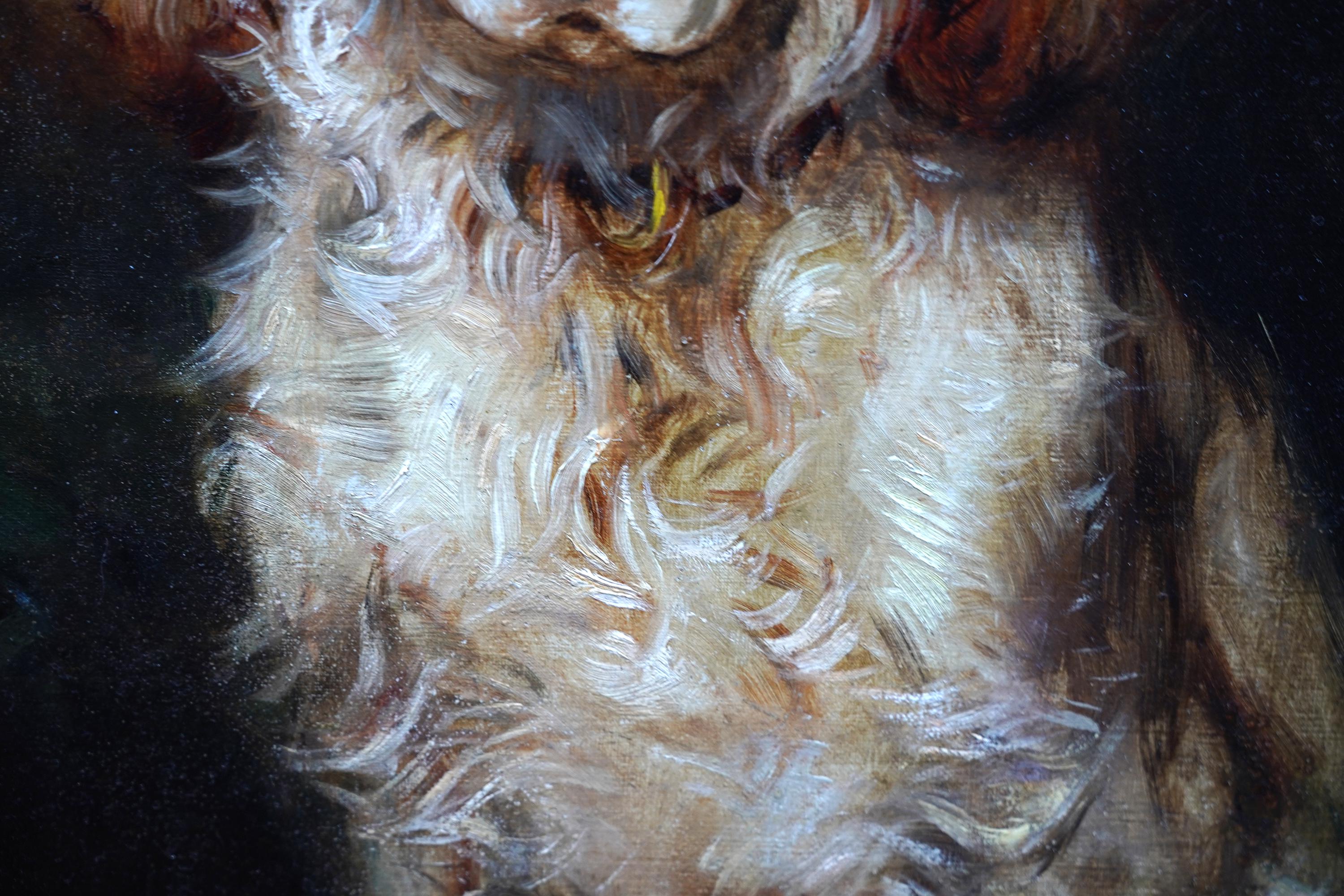 Portrait of a Spaniel Dog - British 1900 animal art oil painting Cocker Spaniel im Angebot 1