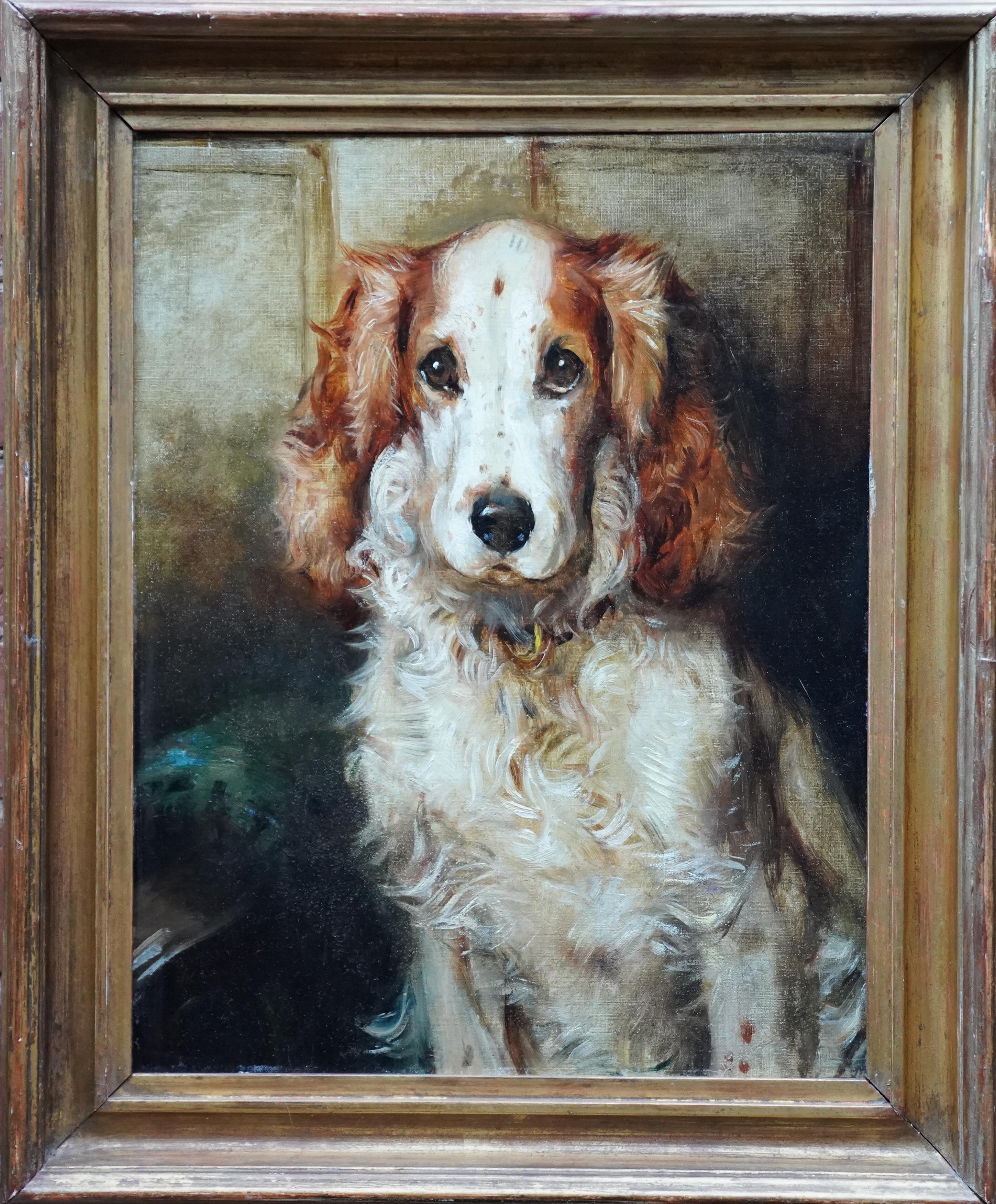 Portrait of a Spaniel Dog - British 1900 animal art oil painting Cocker Spaniel