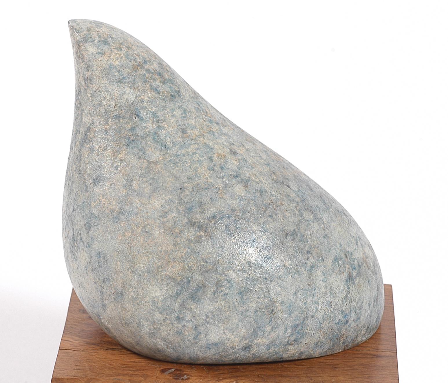 British Contemporary Sculpture by Philip Hearsey - Avian II in vendita 1