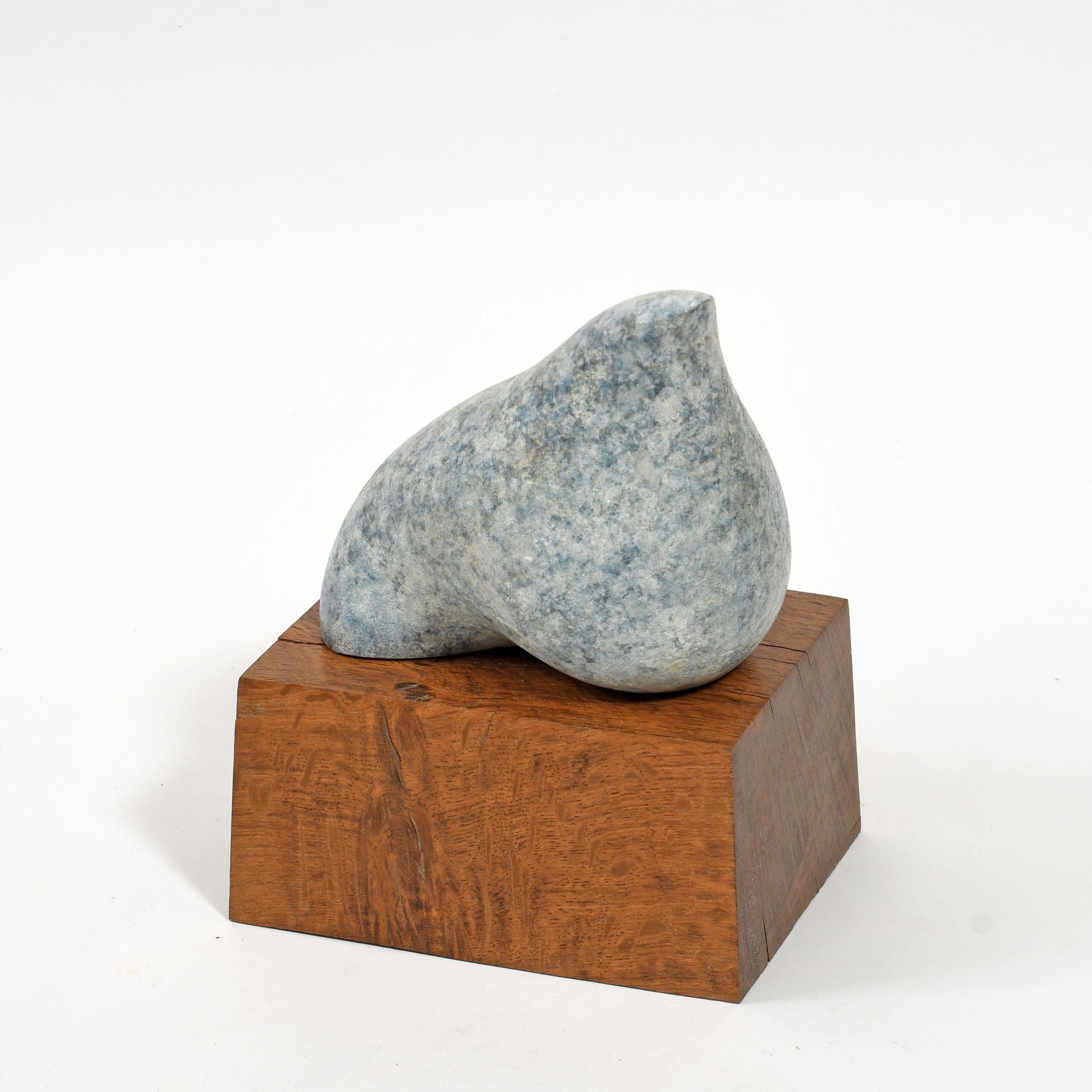 British Contemporary Sculpture by Philip Hearsey - Avian II in vendita 3