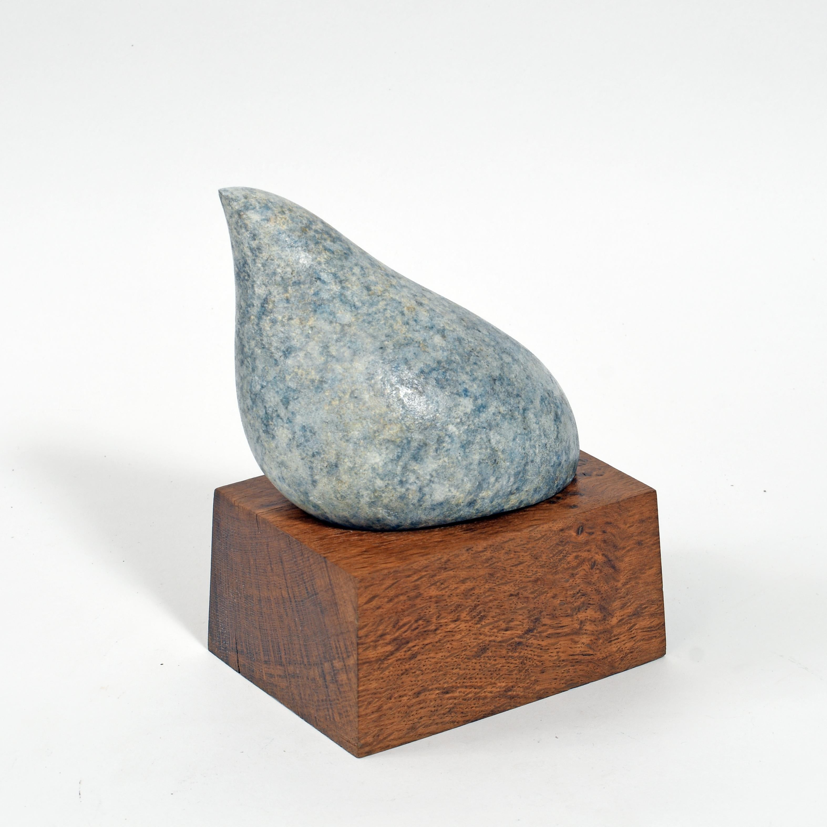 British Contemporary Sculpture by Philip Hearsey - Avian II in vendita 5