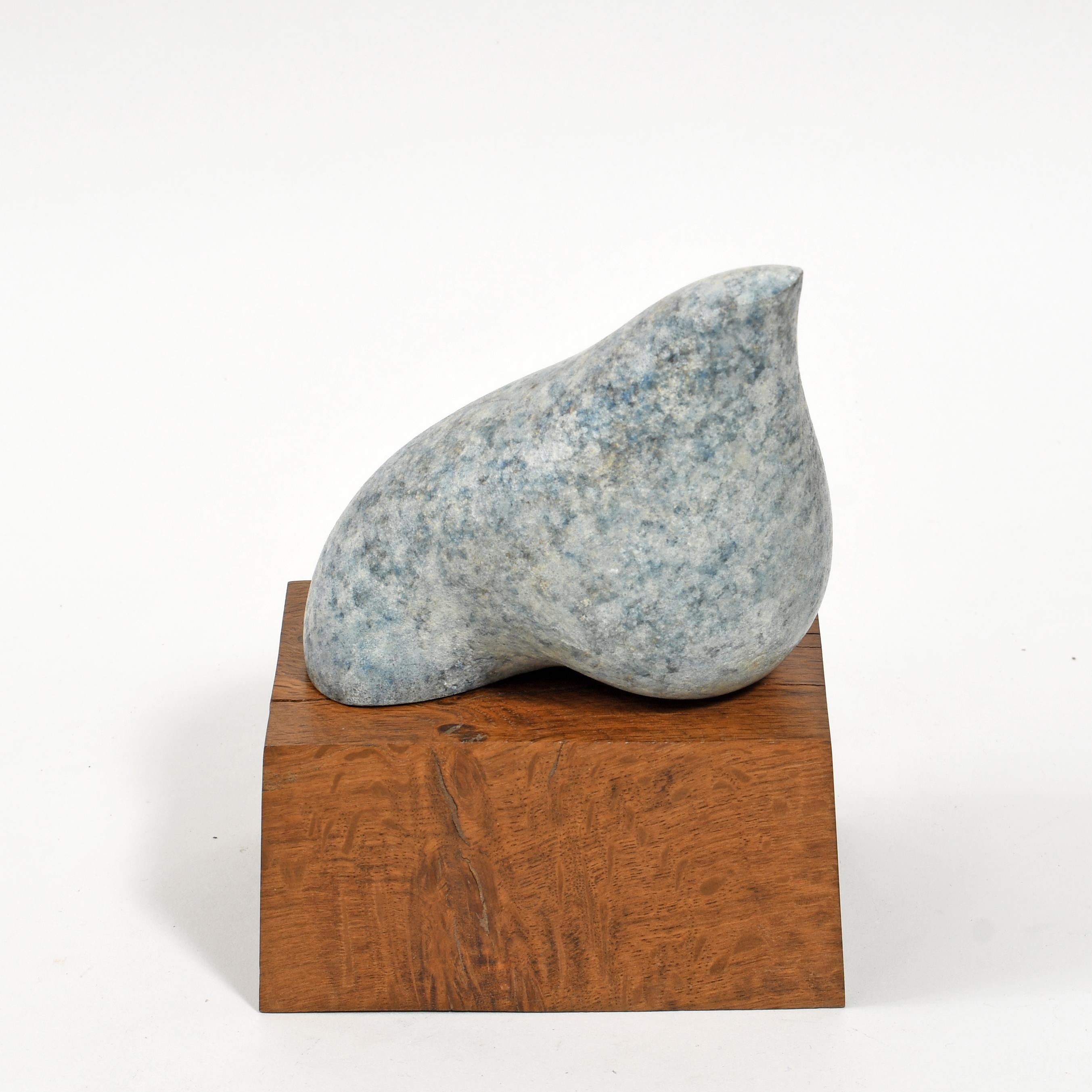 British Contemporary Sculpture by Philip Hearsey - Avian II in vendita 8