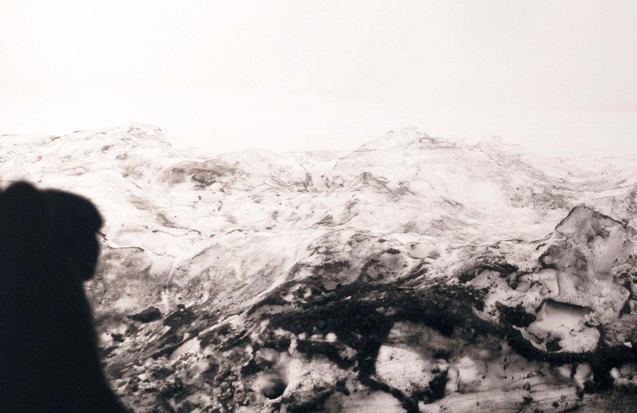 Ice-Covered Guardian Dog on Glacier (1/10) - Photograph by Philip Holsinger