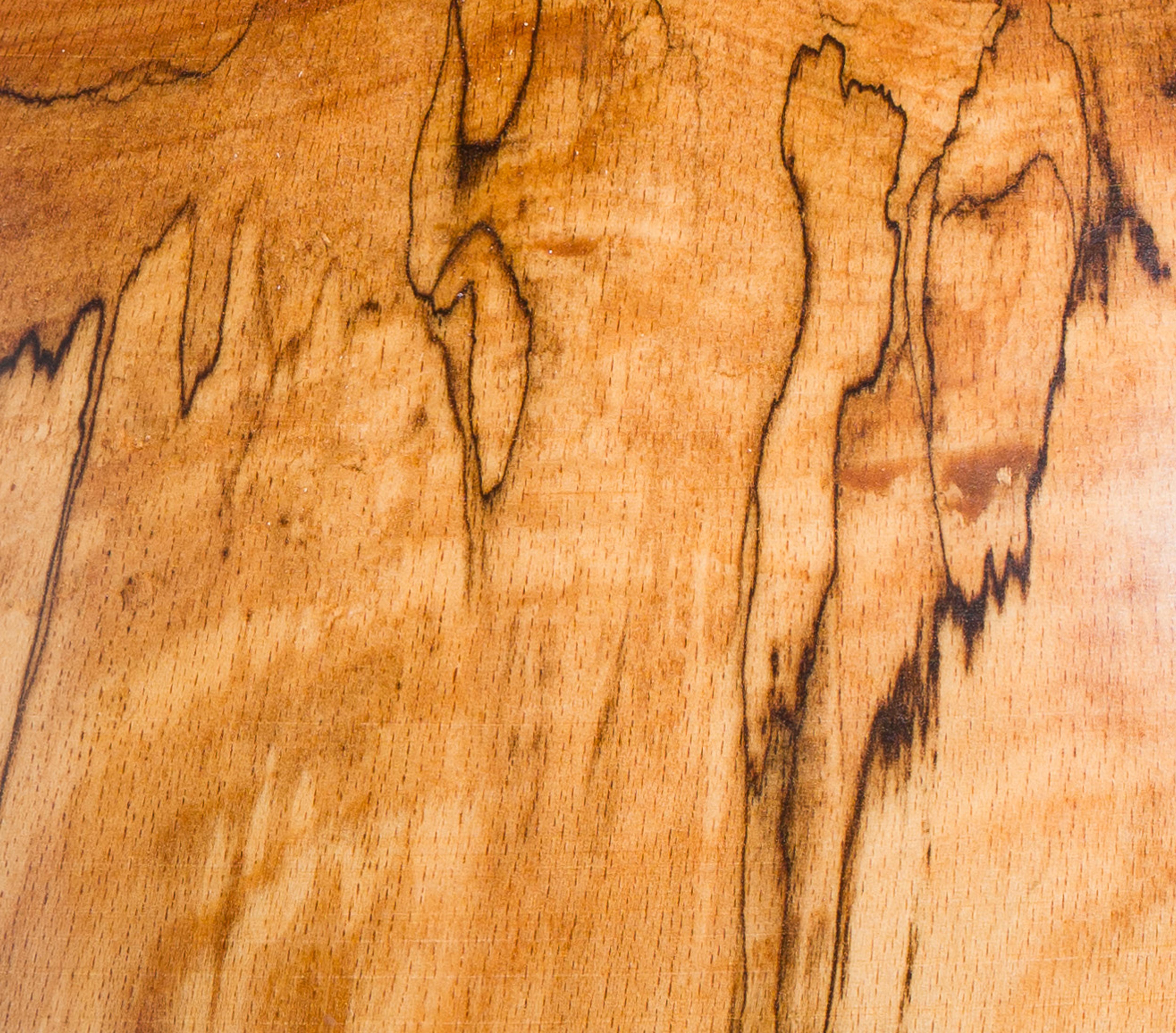 Spalted Beech 643 - Outsider Art Sculpture by Philip Moulthrop