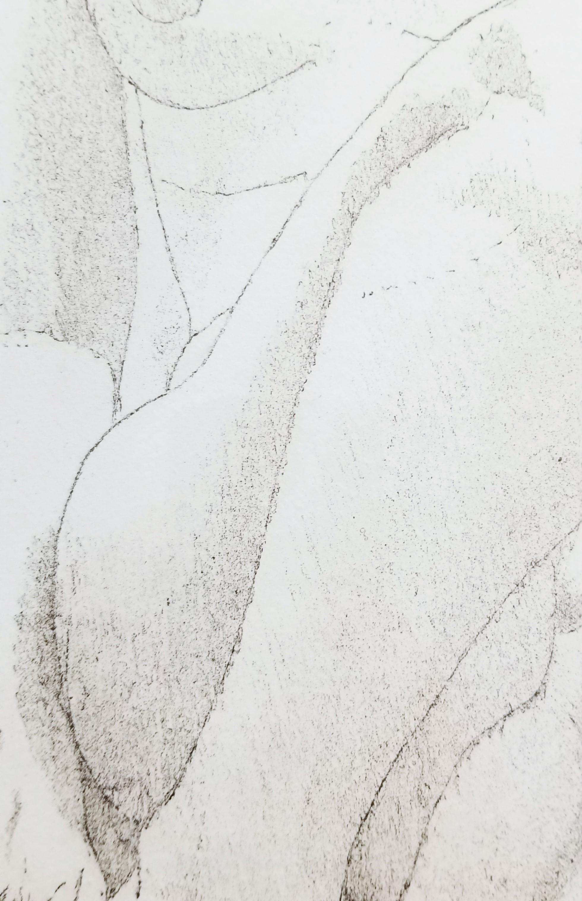 Petit nu /// Philip Pearlstein, gravure figurative féminine d'après-guerre, New York Art en vente 16