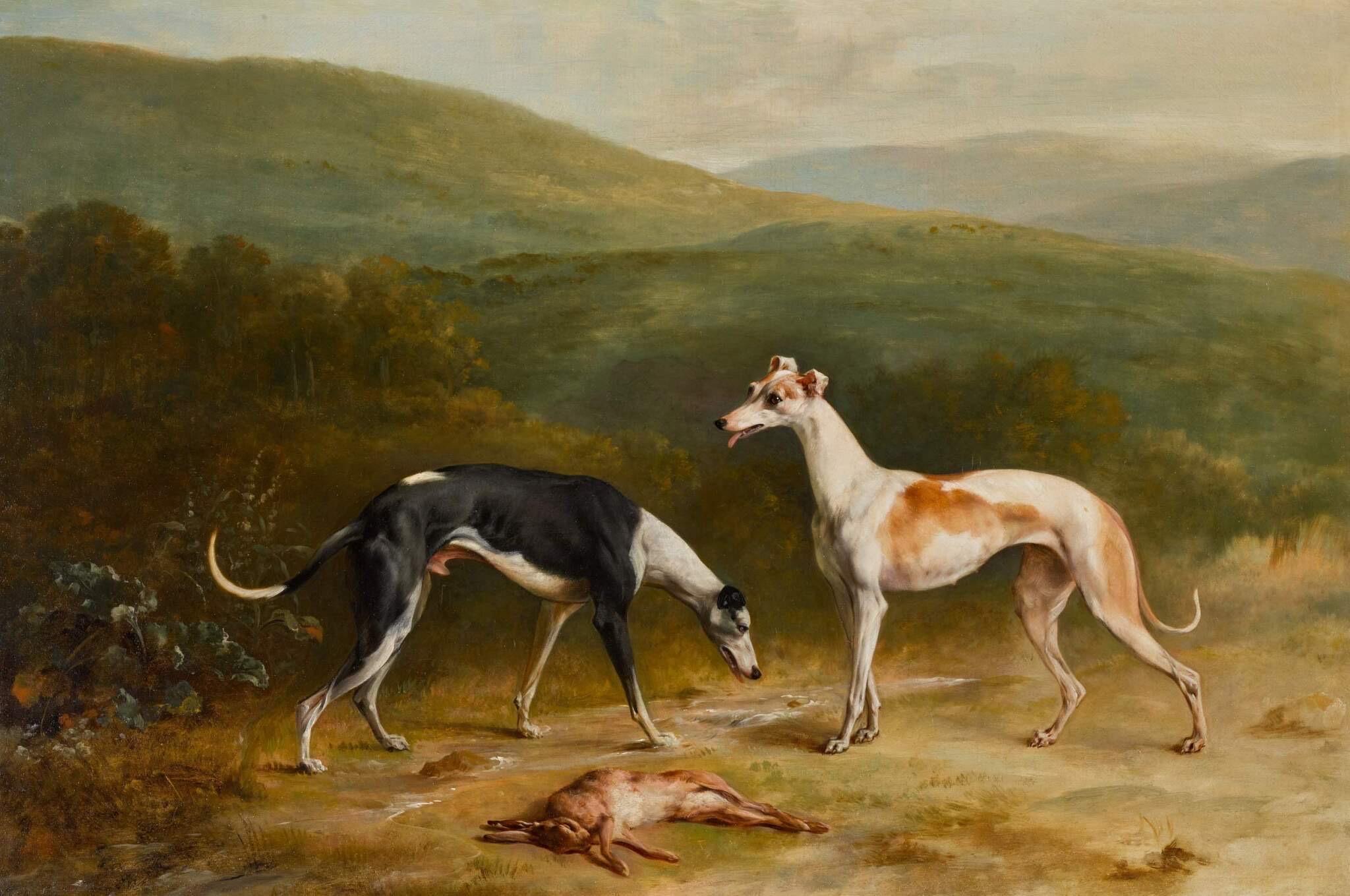 18th century portrait of two greyhound dogs in an extensive landscape - Painting by Philip Reinagle 