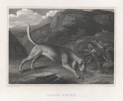 Antique Bloodhound, early 19th century English dog engraving