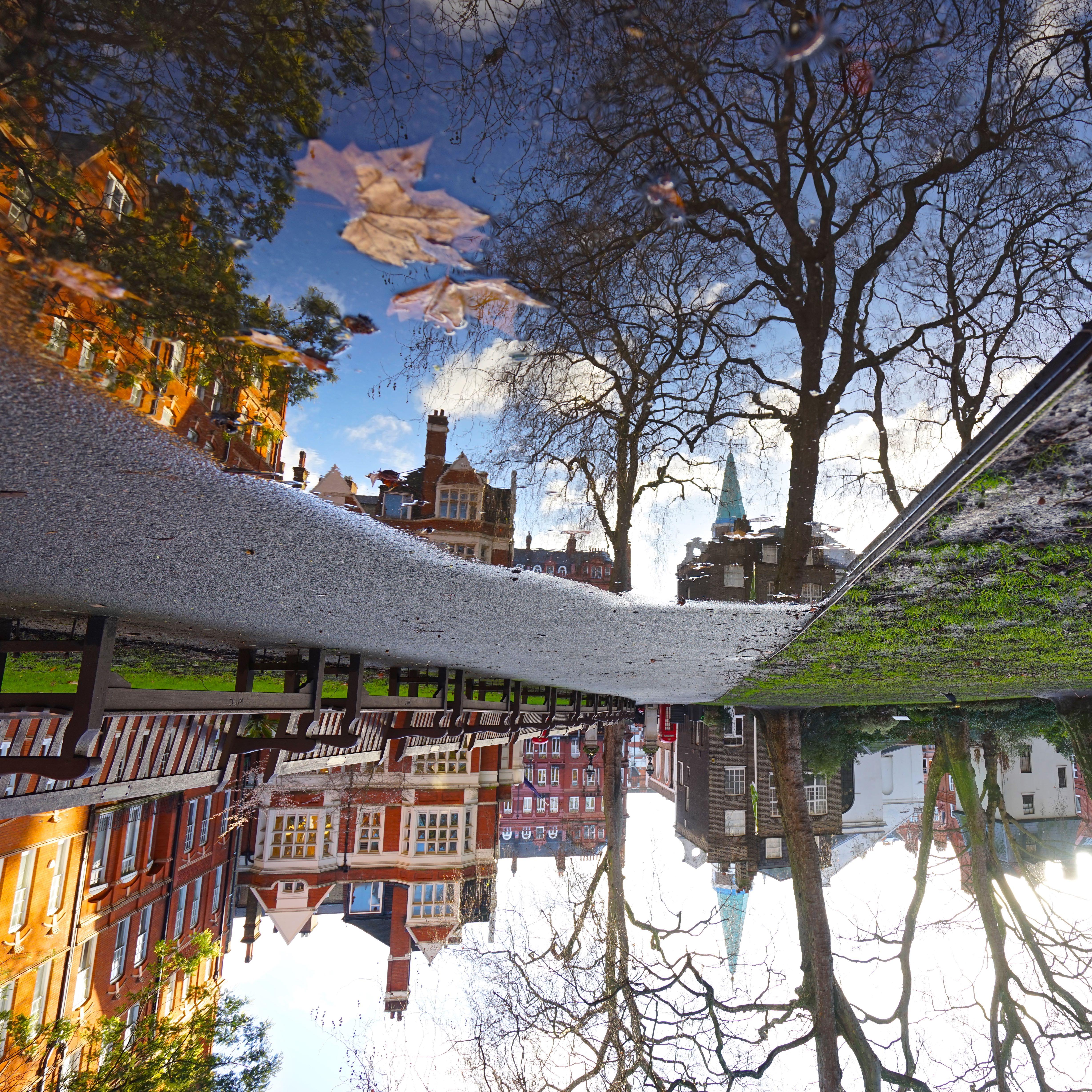Philip Shalam Abstract Photograph - MOUNT ST. GDNS. PUDDLE REFLECTION - CONTEMPORARY PHOTO - COLOUR PHOTO - RAIN 