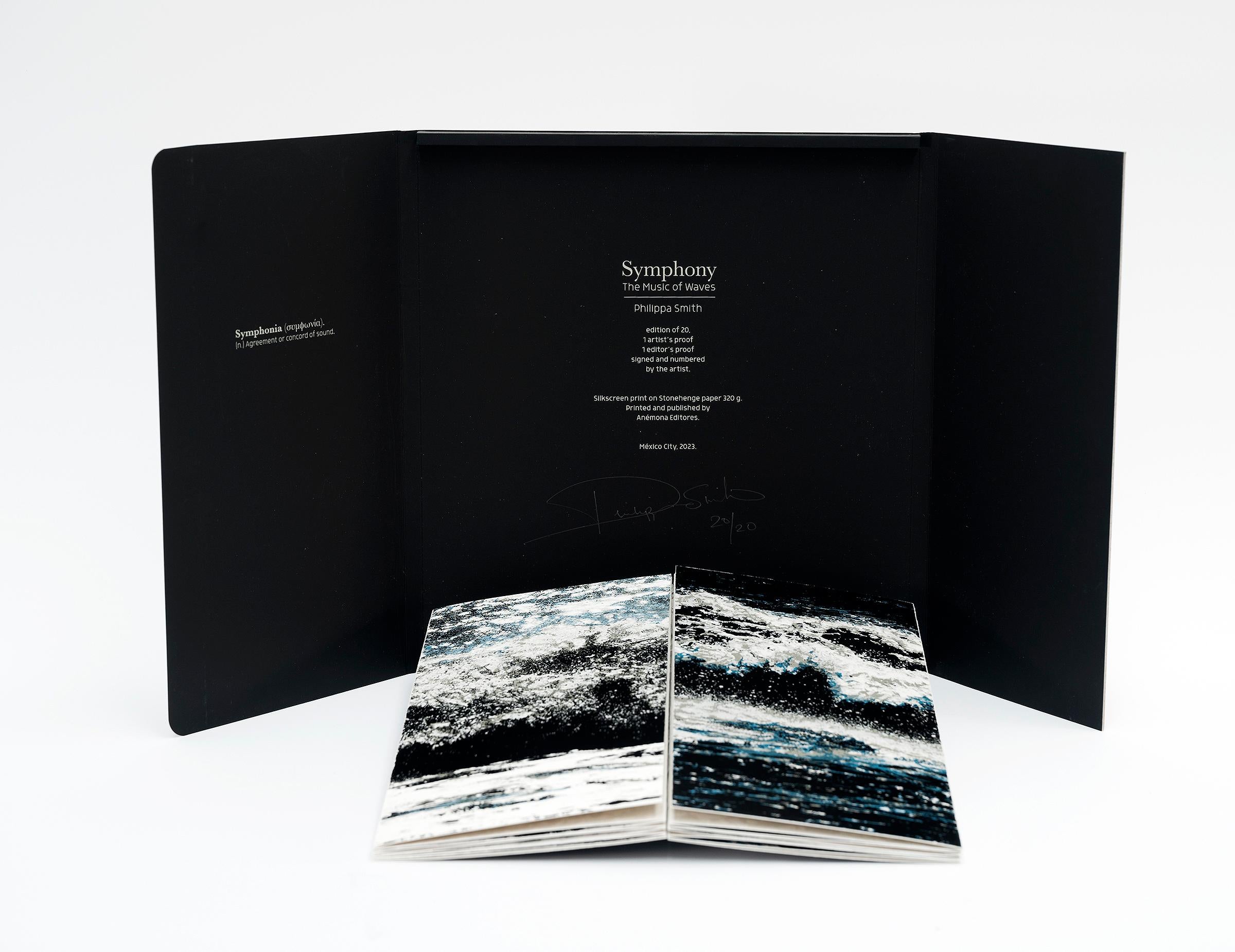Symphony. The music of the waves For Sale 2