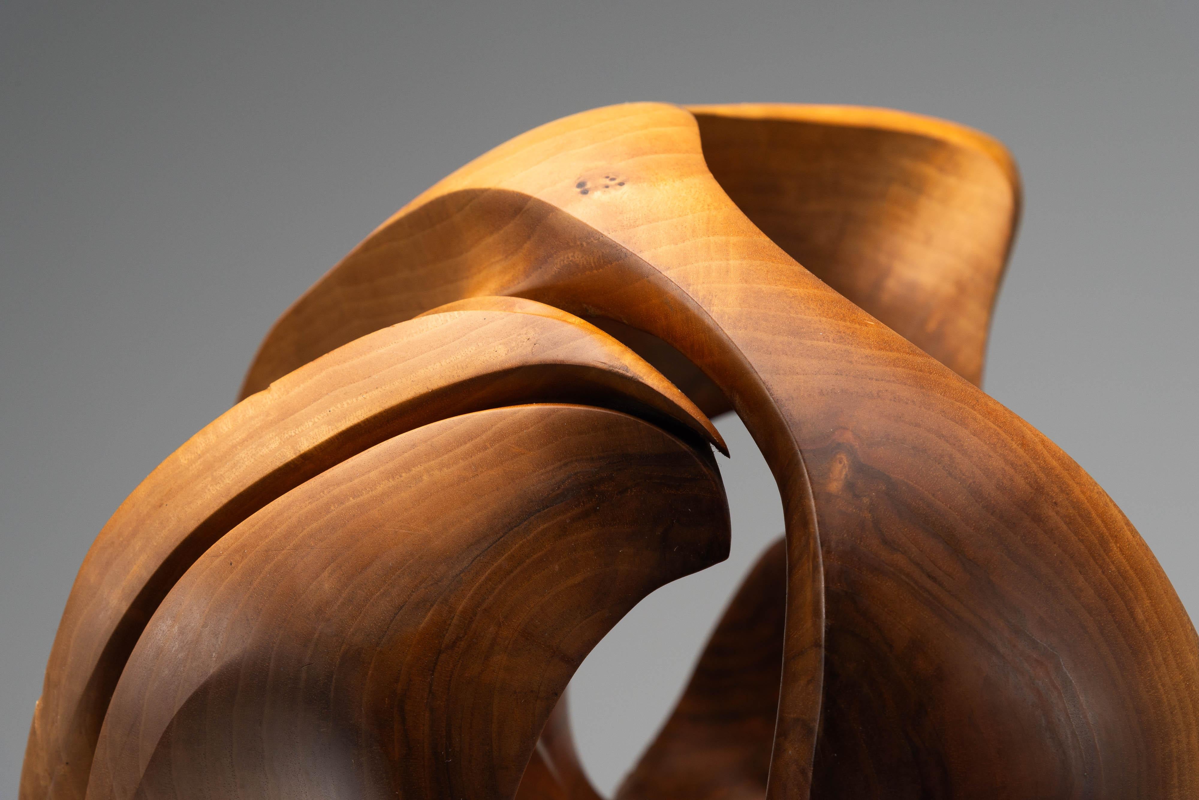 Philippe Adamantidis scultura organica Belgio 1970 in vendita 7