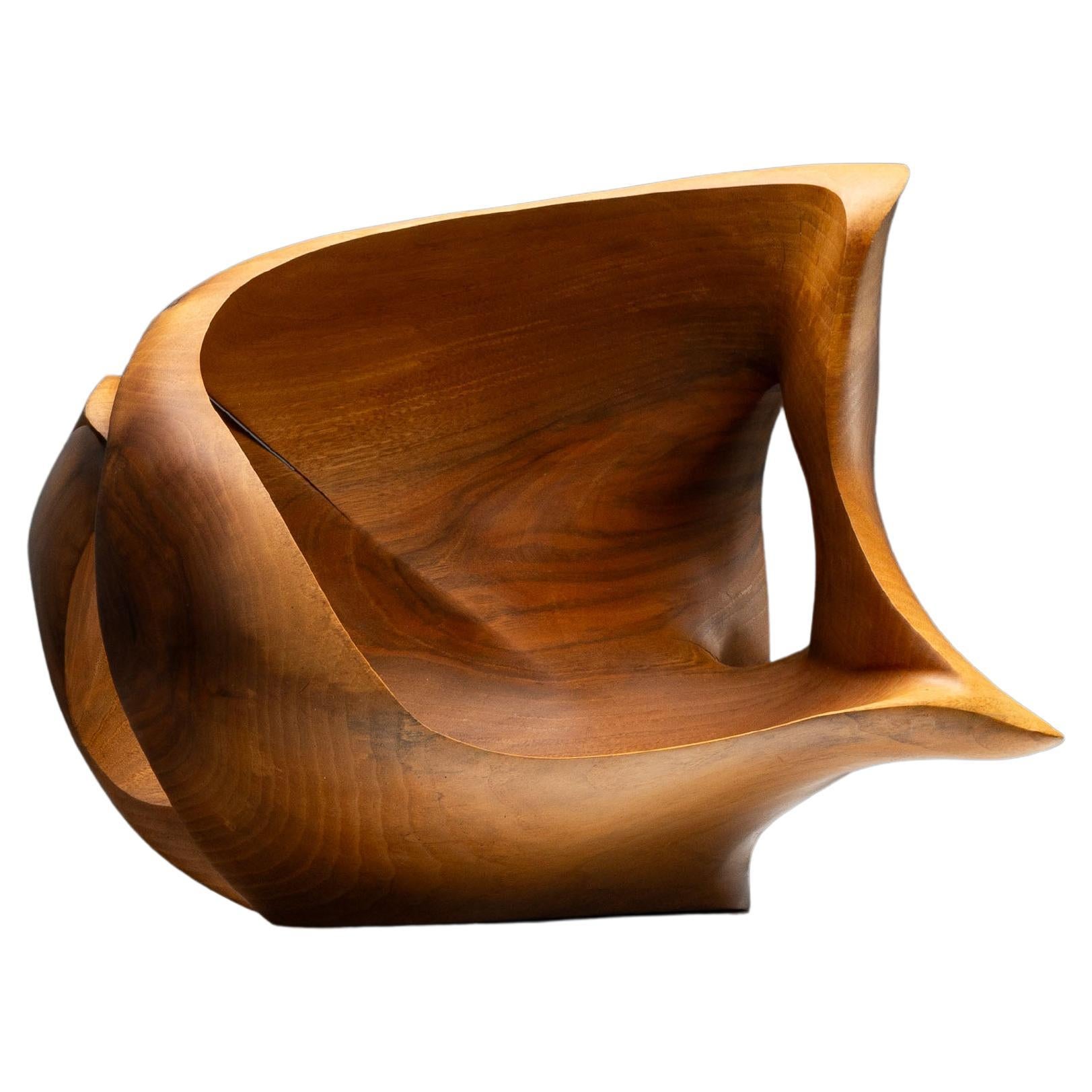Philippe Adamantidis scultura organica Belgio 1970 in vendita