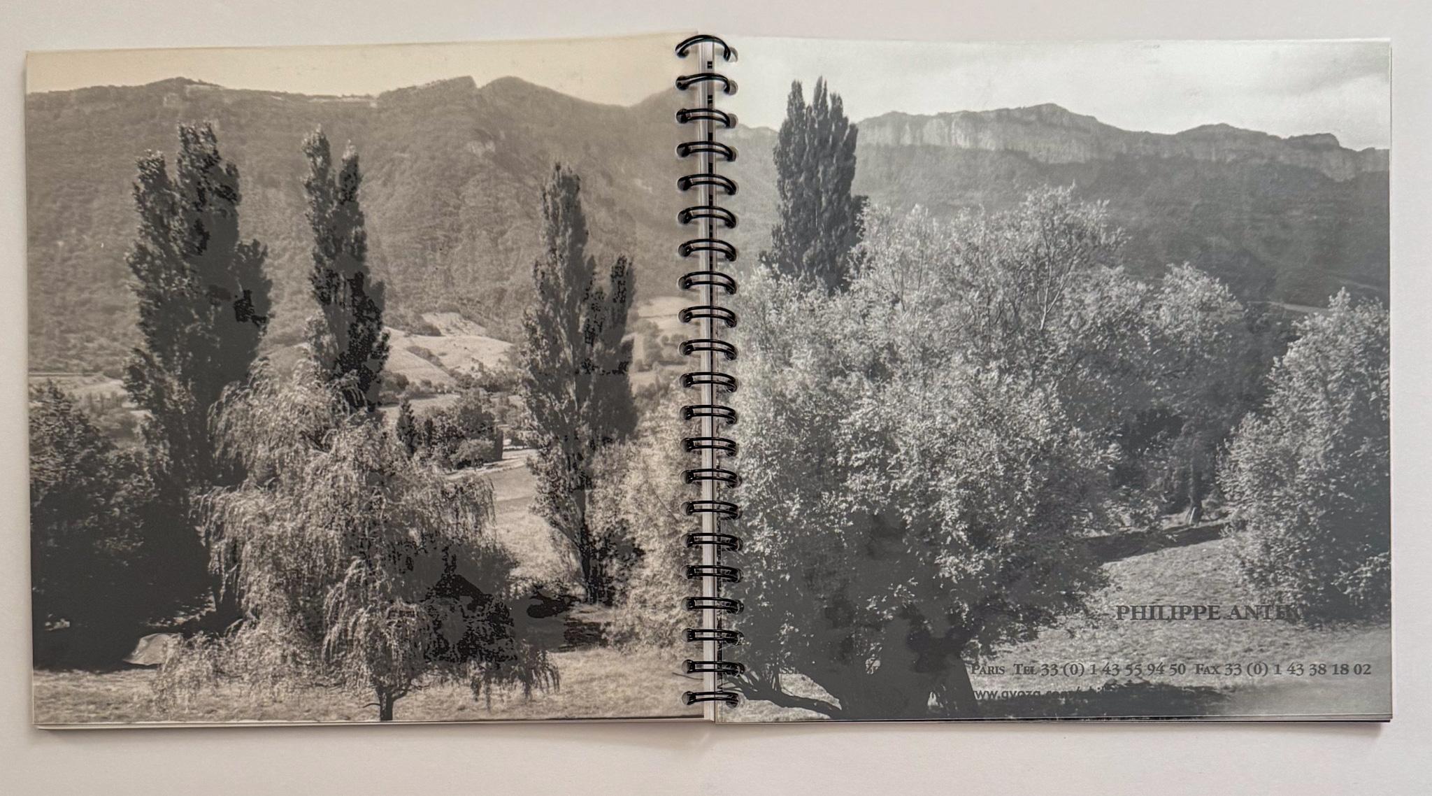 Libretto di presentazione autoprodotto di opere scultoree dell'artista, scultore e creatore di mobili francese Philippe Anthonioz (nato nel 1953), che ha lavorato a stretto contatto con Diego Giacometti negli ultimi anni di vita del maestro,