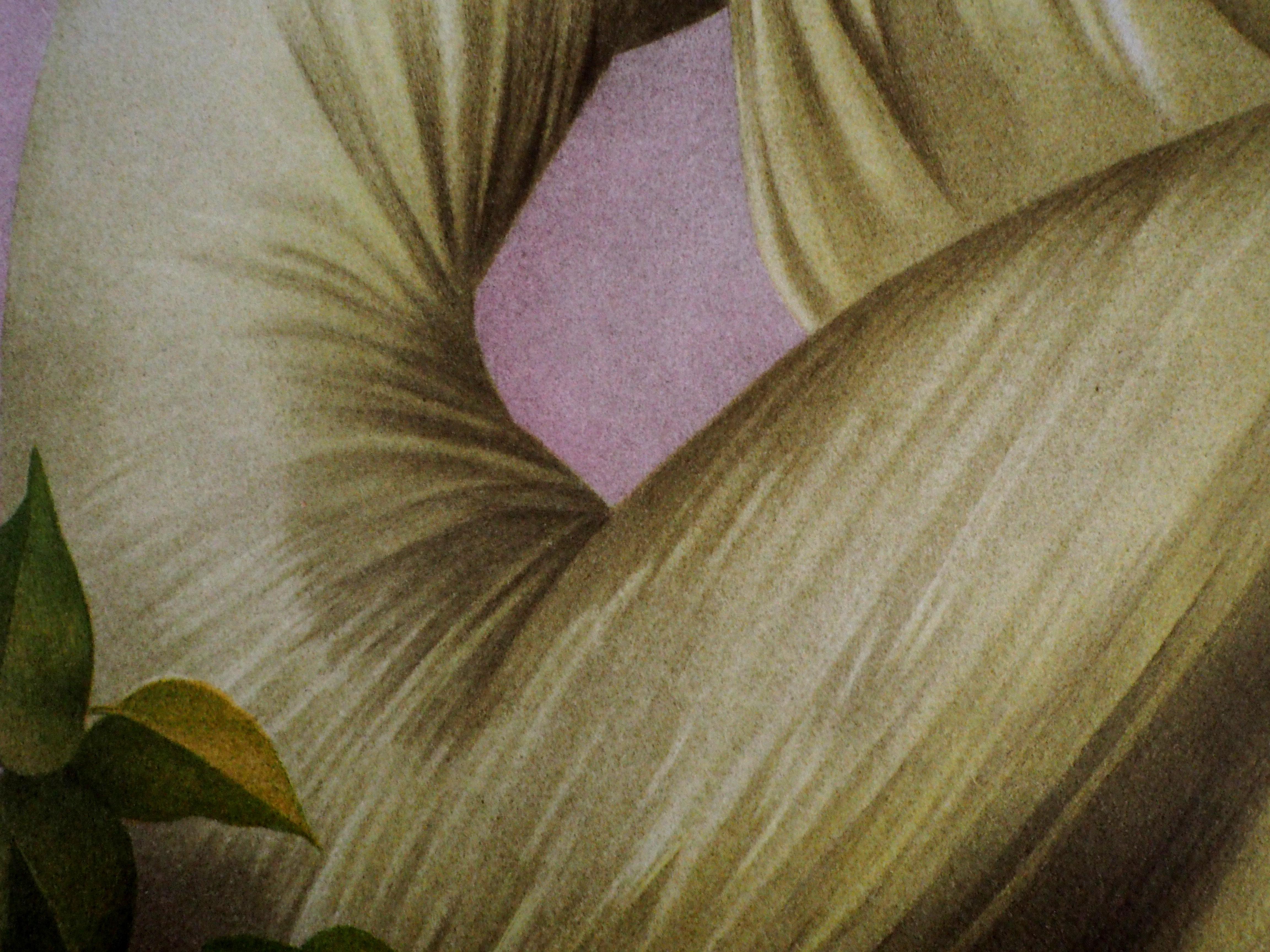 The Three Graces - Original handsigned lithograph For Sale 2