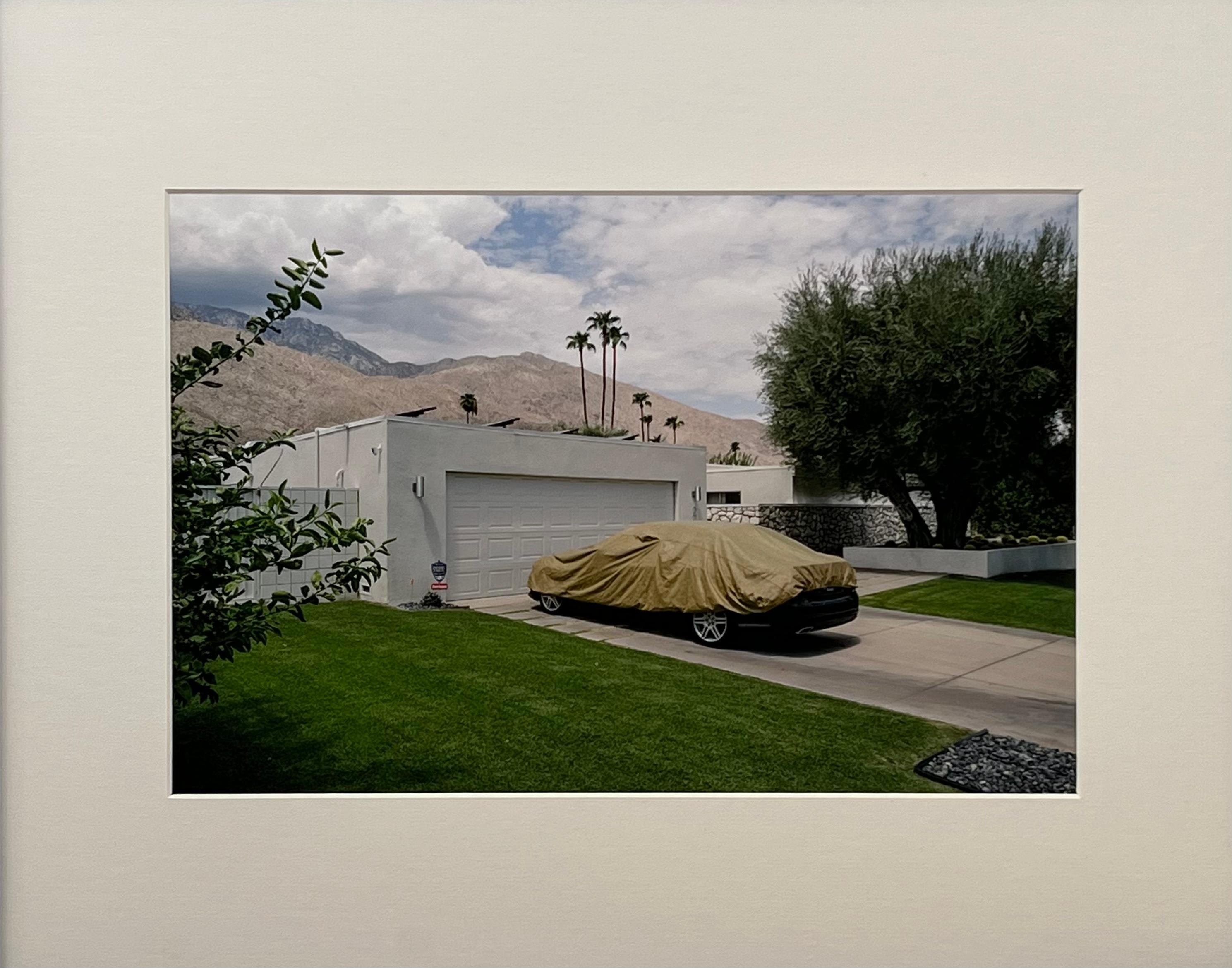 August Palm Blues – Photograph von Philippe Blayo