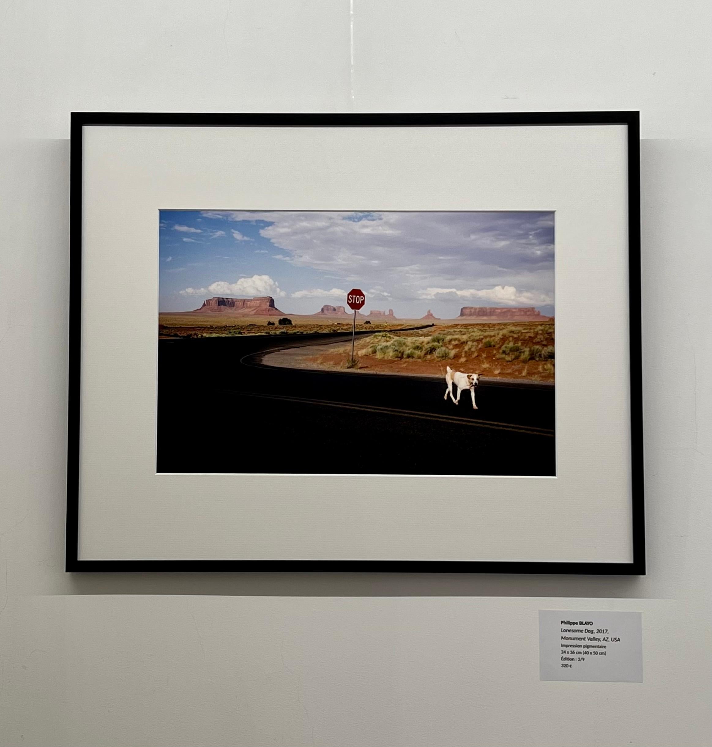 Lonesome Dog, 2017, Monument Valley, AZ, USA - Contemporary Photograph by Philippe Blayo