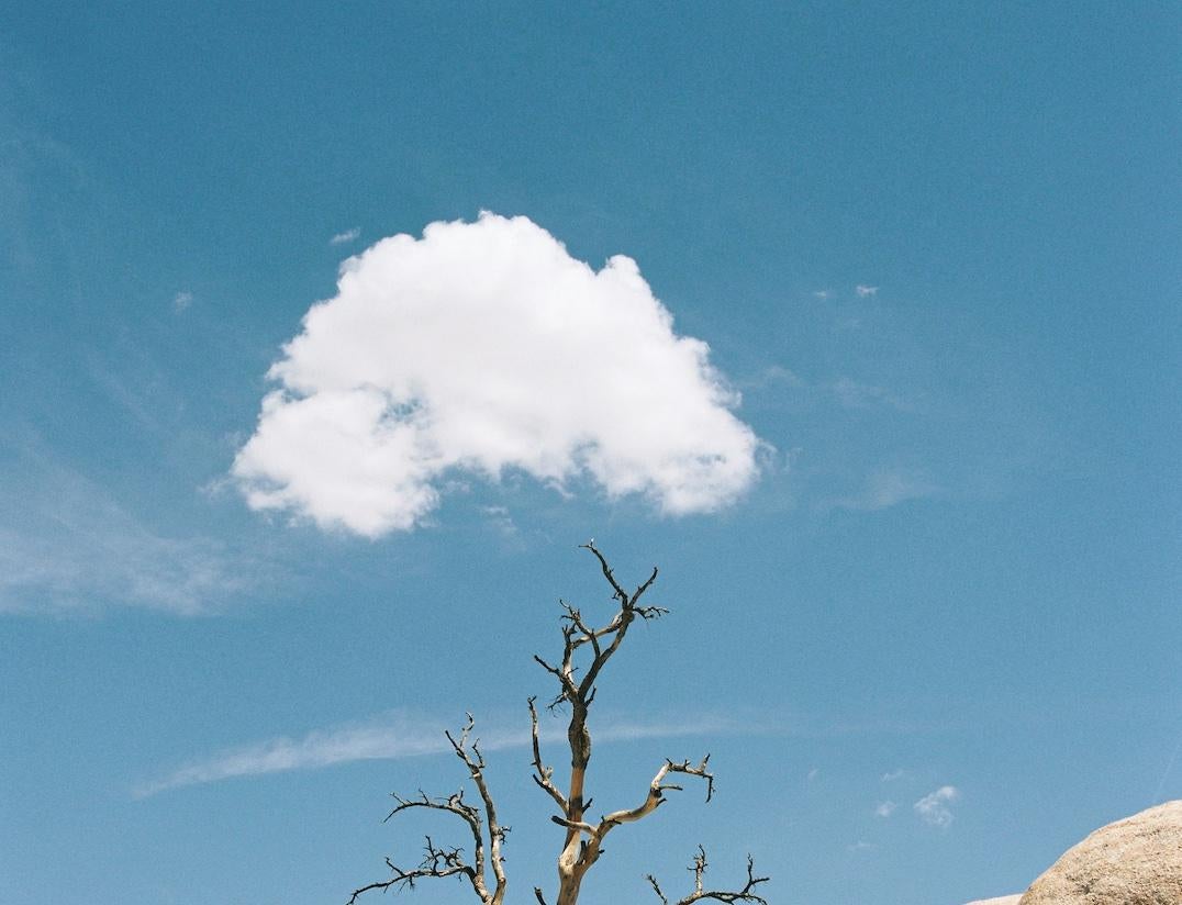 Maybe a Cloud Will, 2022, Joshua National Park, CA, USA - Contemporary Photograph by Philippe Blayo