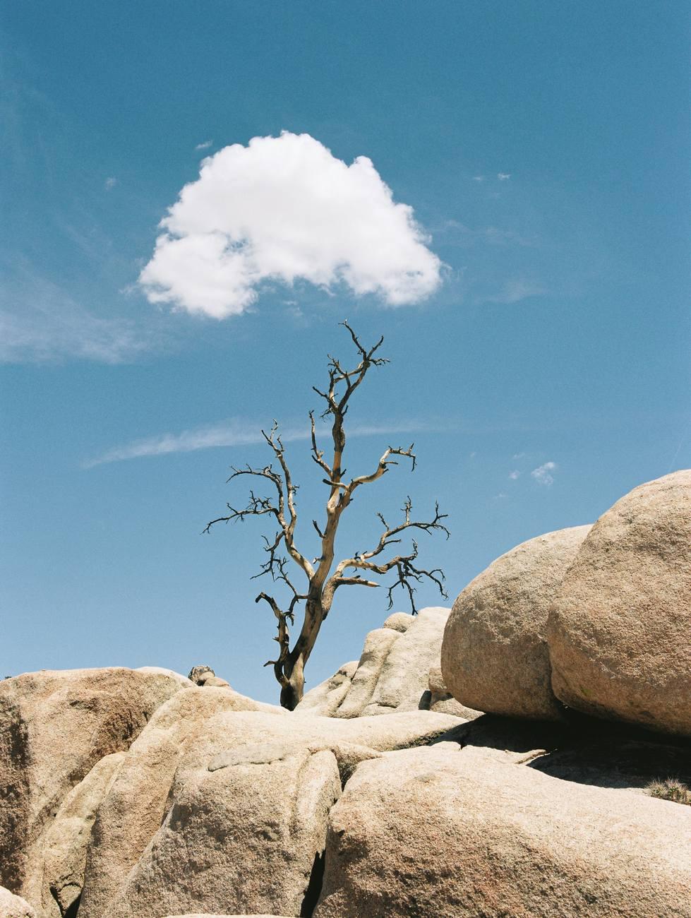 Philippe Blayo Color Photograph - Maybe a Cloud Will, 2022, Joshua National Park, CA, USA