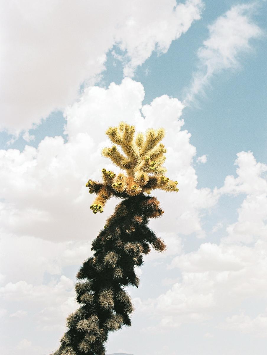 Philippe Blayo Color Photograph - Some Desert Present