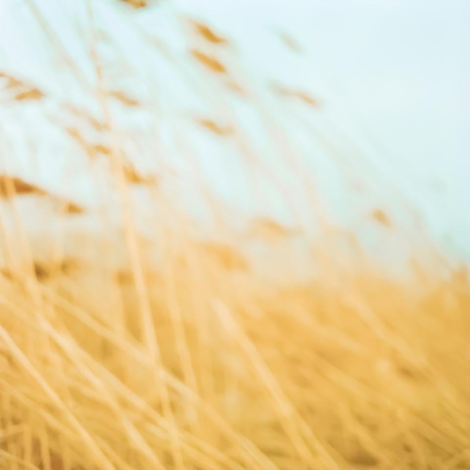Philippe Cheng Landscape Photograph – Ohne Titel