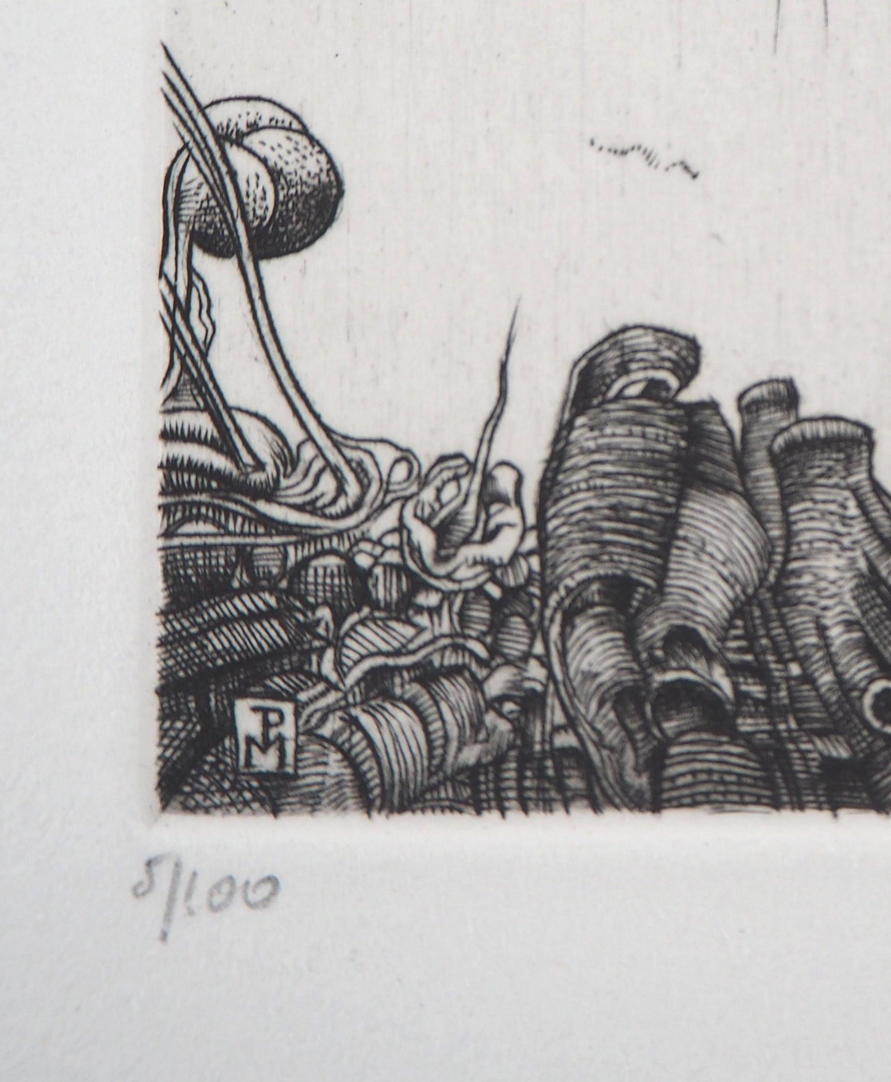 Humedales surrealistas, 1986 - Grabado original firmado a mano en venta 2