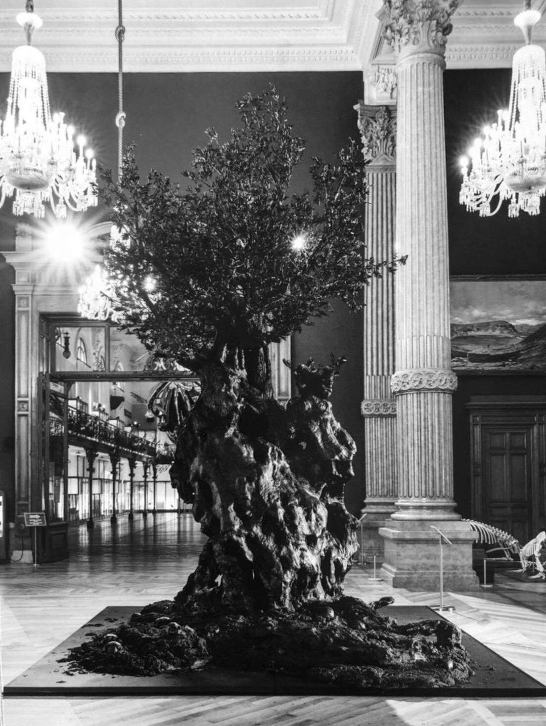 Monumentale arbre d'olivier:: crânes de vanité:: papillons:: sculpture de Philippe Pasqua 17